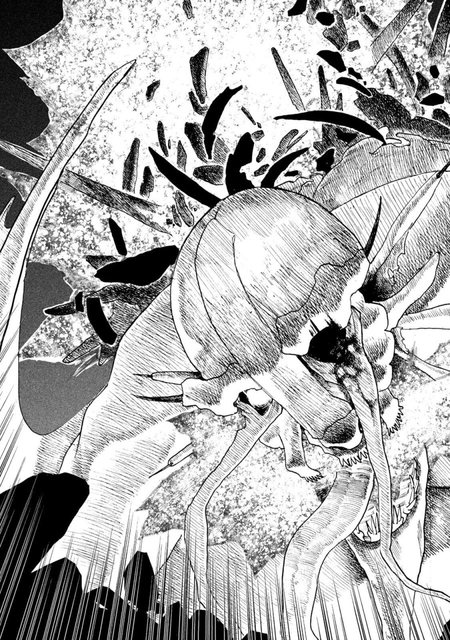 濁る瞳で何を願う ハイセルク戦記 第21話 - Trang 33