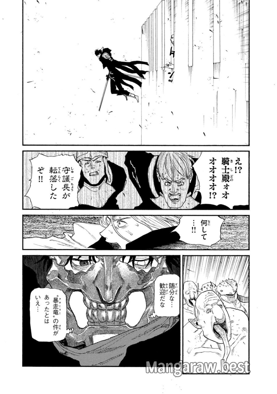 濁る瞳で何を願う ハイセルク戦記 第23話 - Trang 14