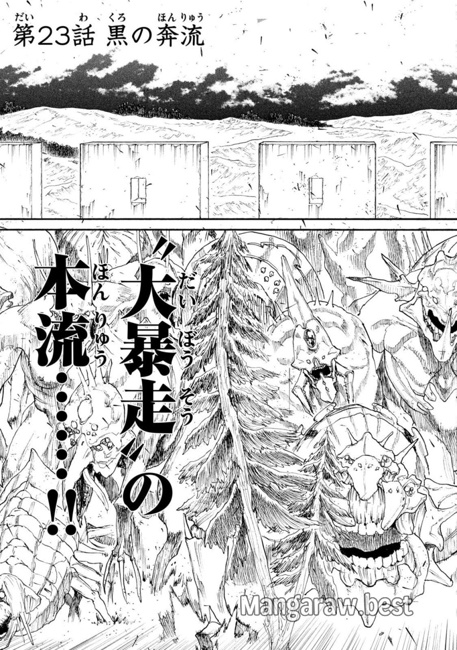 濁る瞳で何を願う ハイセルク戦記 第23話 - Trang 3