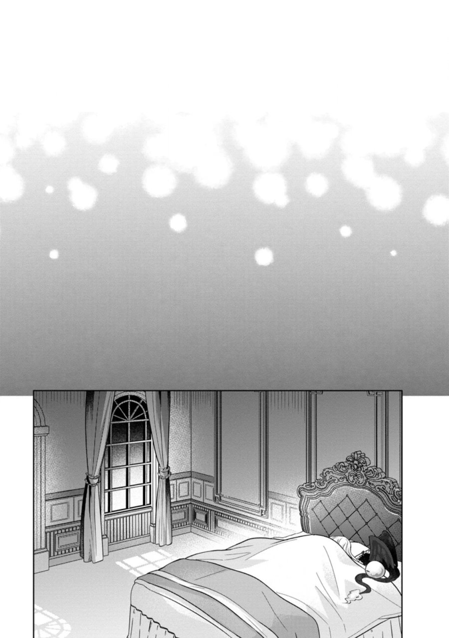 断罪されている悪役令嬢と入れ替わって婚約者たちをぶっ飛ばしたら、溺愛が待っていました 第32.3話 - Page 3