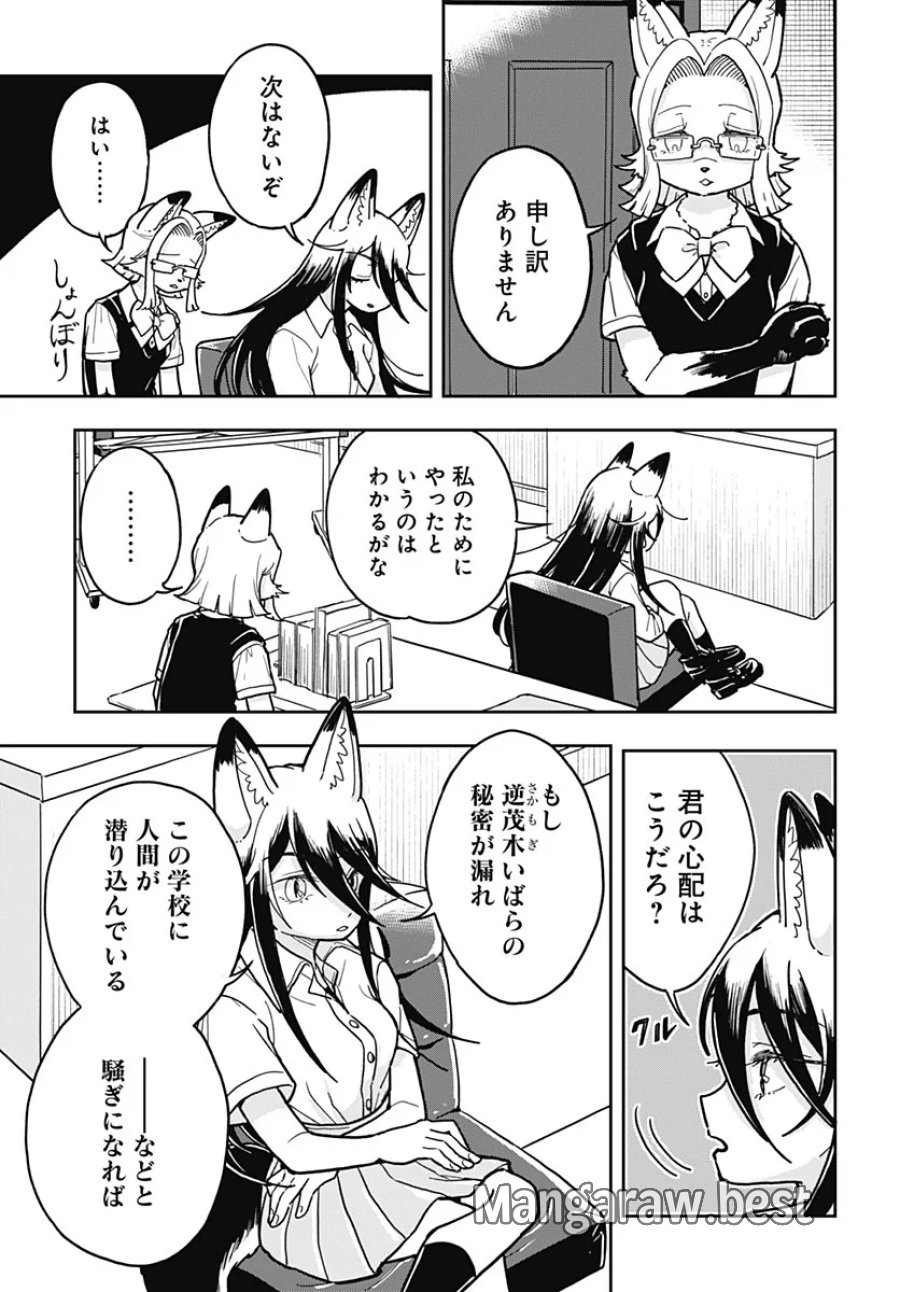 こんづくし 第30話 - Page 13