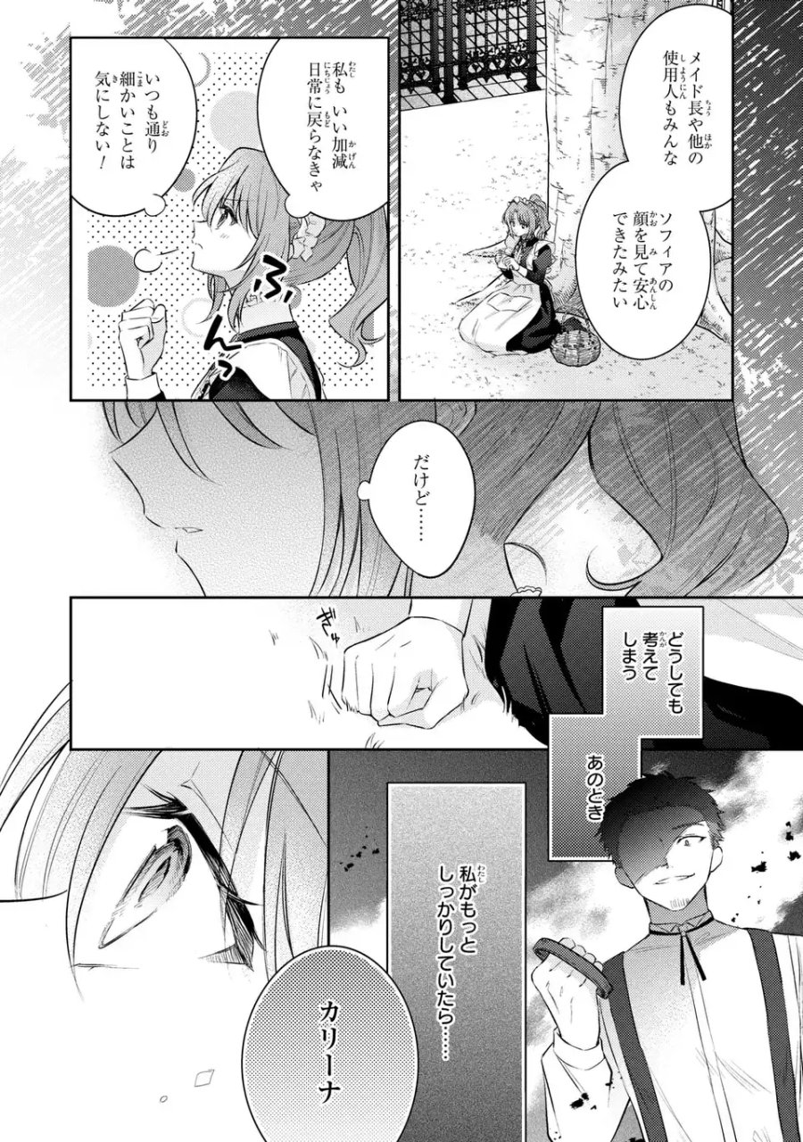 捨てられ男爵令嬢は黒騎士様のお気に入り 第44話 - Page 25