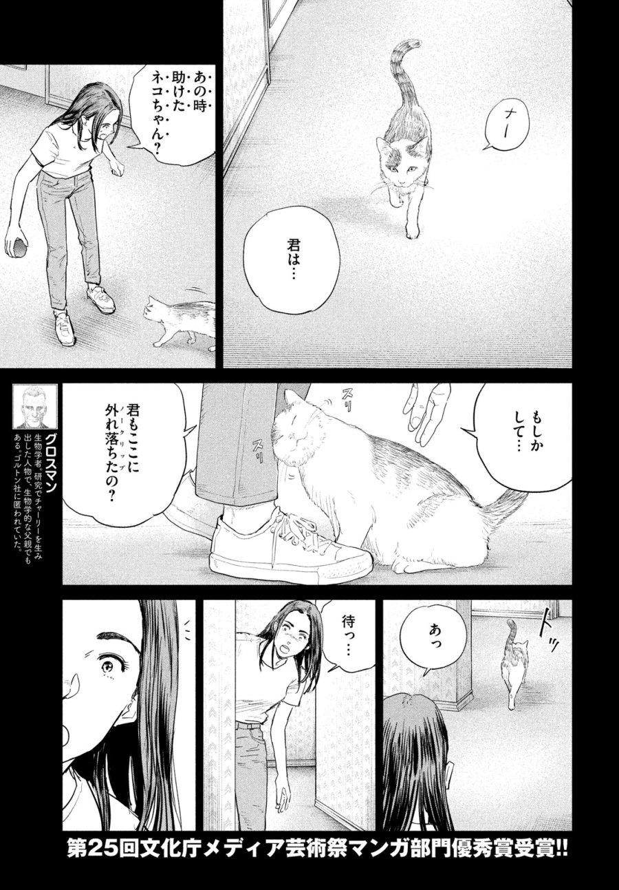 ダーウィン事変 第57話 - Trang 3