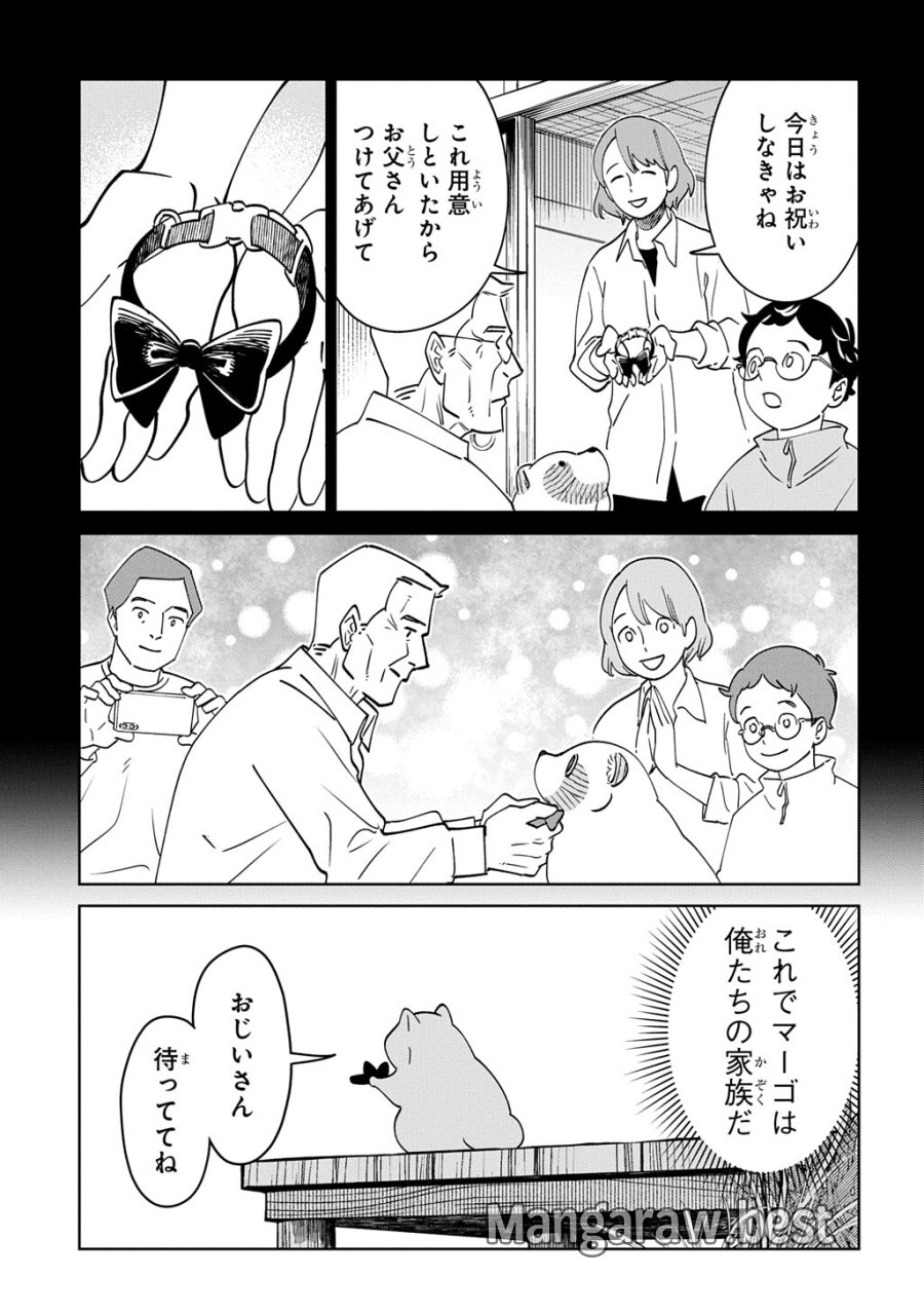 異世界たぬき 第10.1話 - Page 15