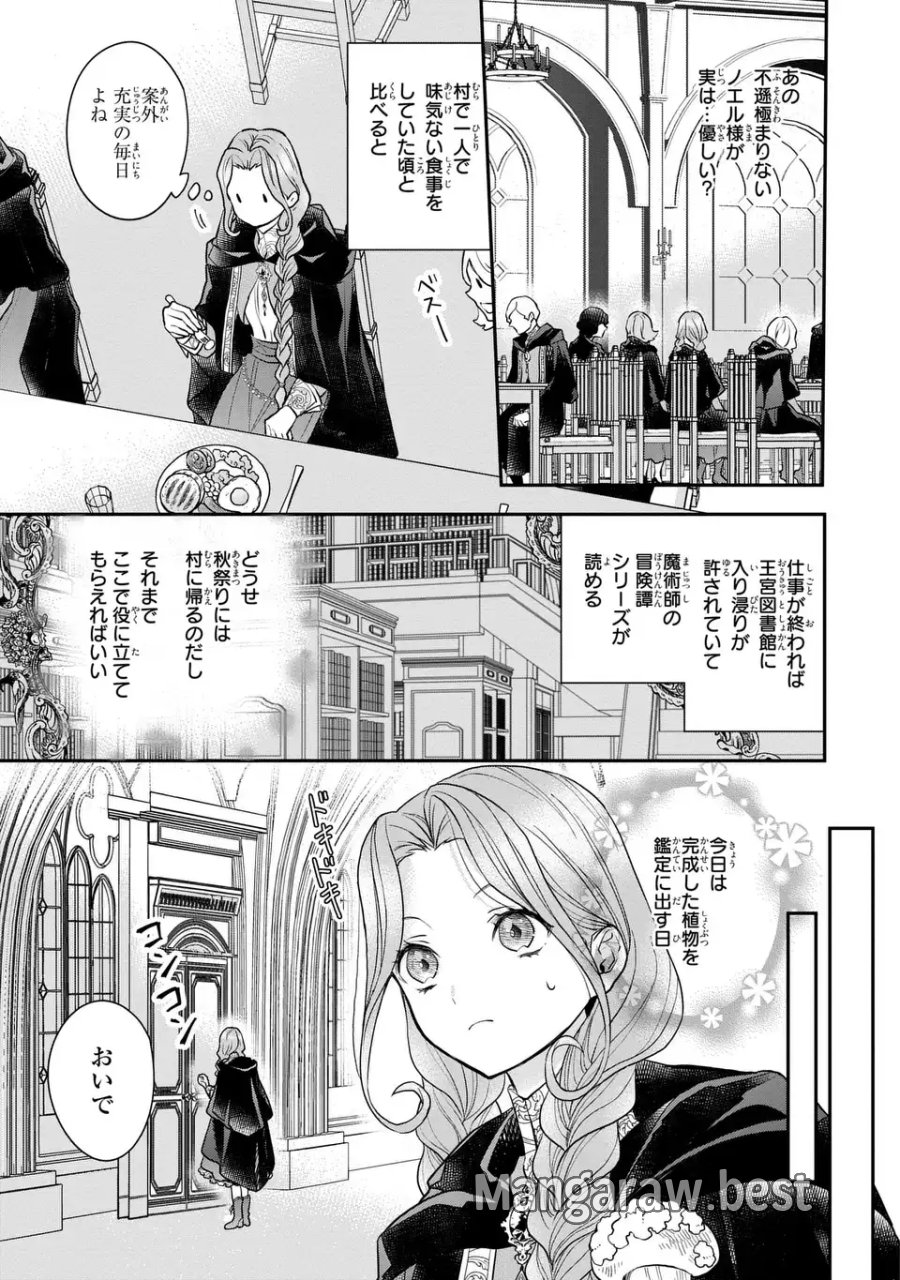 緑の指を持つ娘～魔術師様と田舎娘と癒しの温室～ 第3話 - Page 11