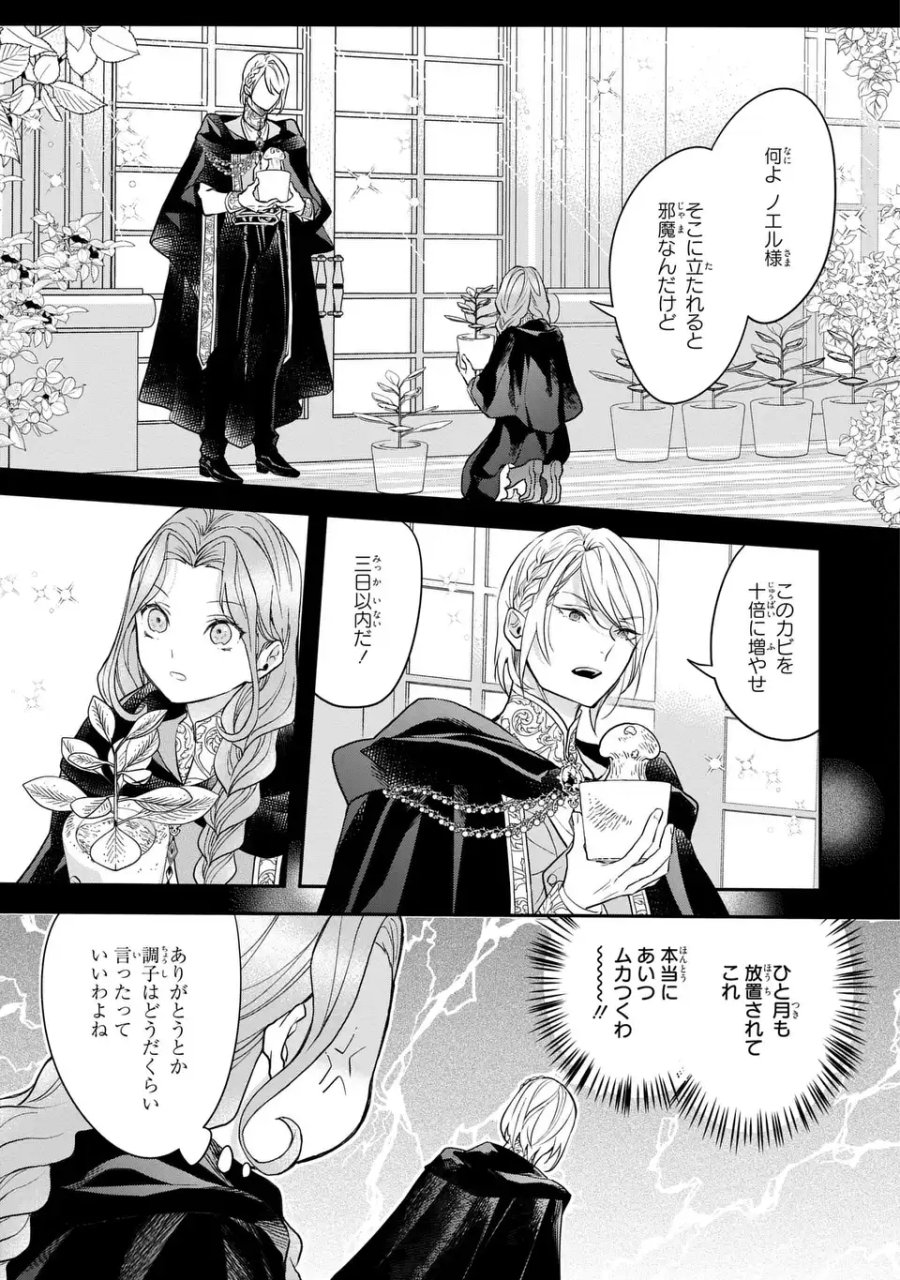 緑の指を持つ娘～魔術師様と田舎娘と癒しの温室～ 第3話 - Page 13
