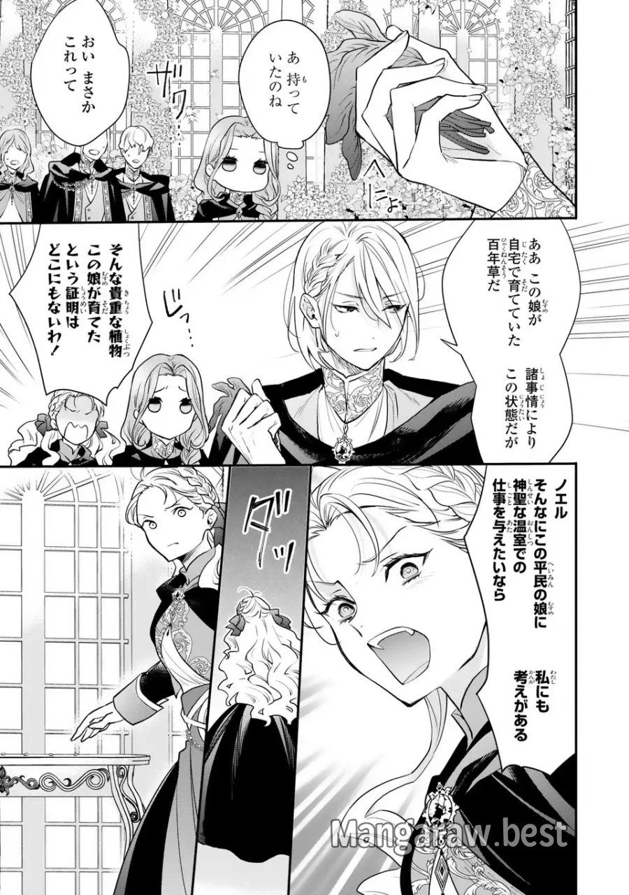 緑の指を持つ娘～魔術師様と田舎娘と癒しの温室～ 第2話 - Page 25