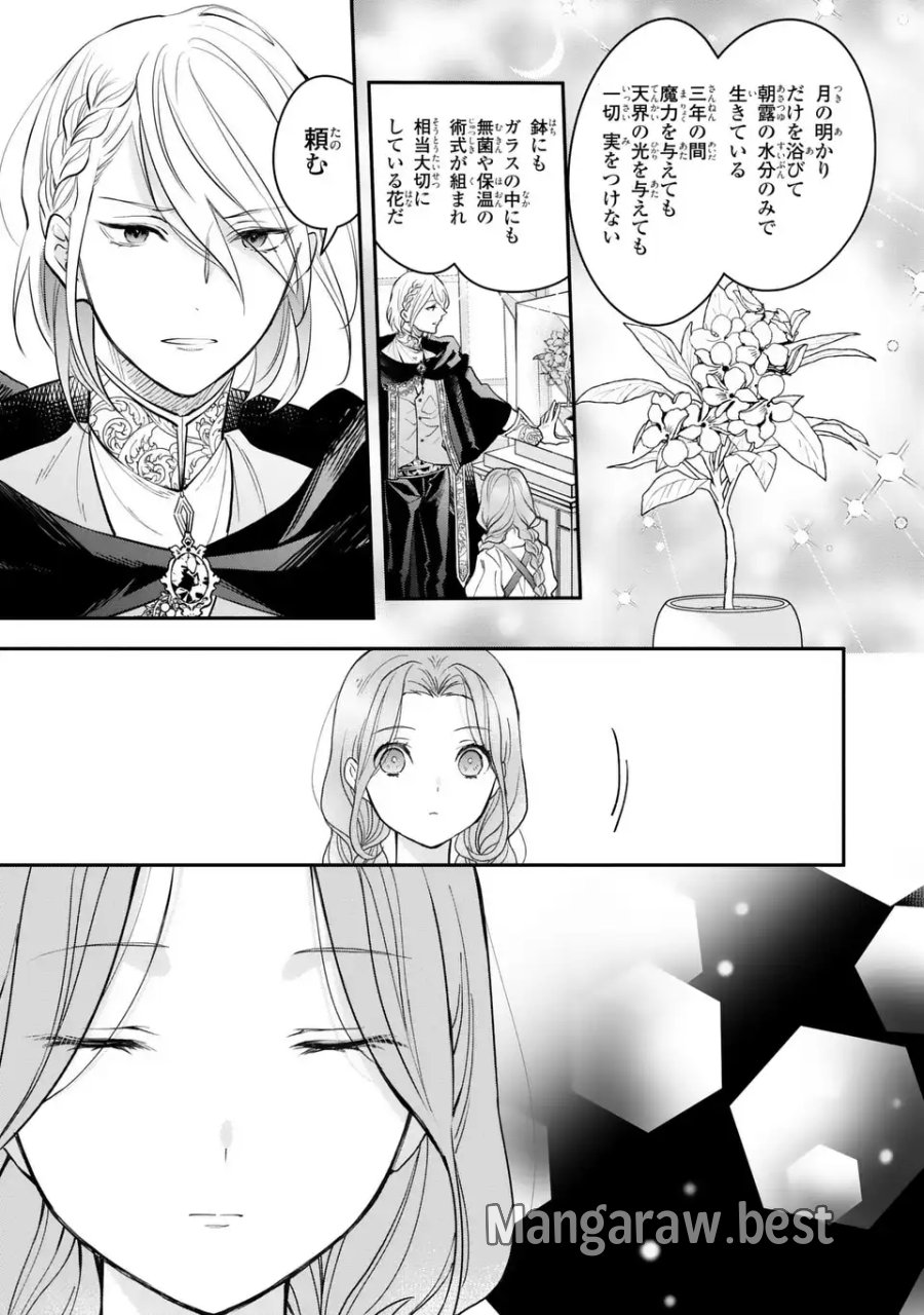 緑の指を持つ娘～魔術師様と田舎娘と癒しの温室～ 第2話 - Page 5
