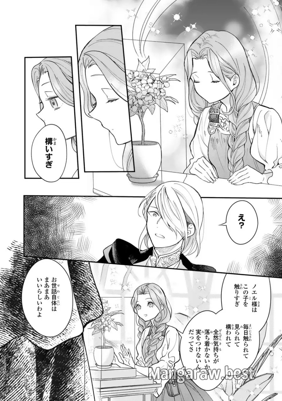 緑の指を持つ娘～魔術師様と田舎娘と癒しの温室～ 第2話 - Page 6