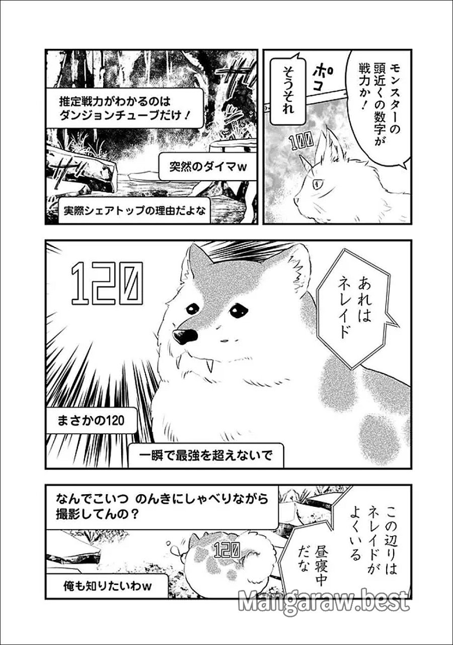 バズった?最強種だらけのクリア不可能ダンジョンを配信? 自宅なんだけど? 第2話 - Trang 6