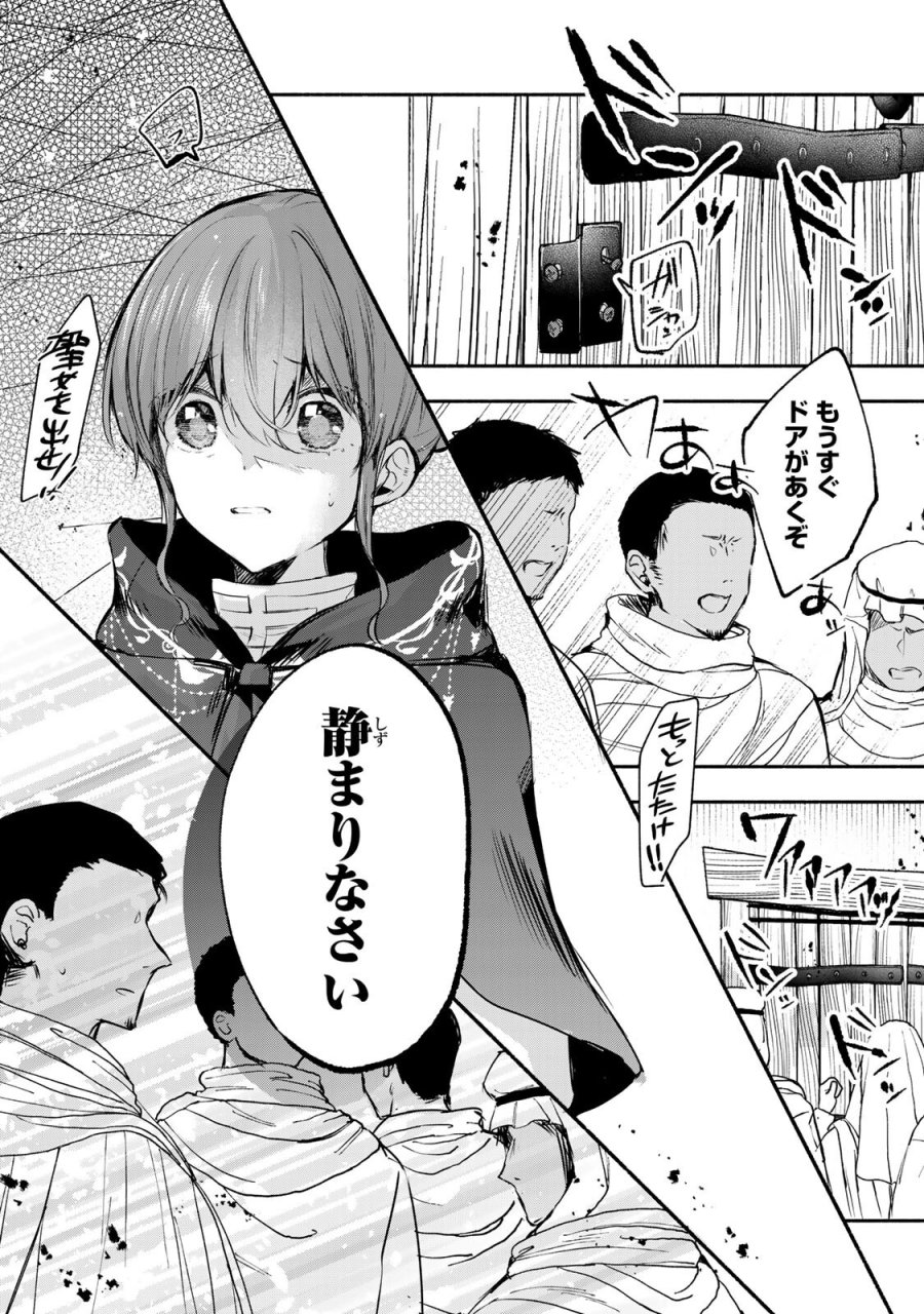 聖女様をお探しでしたら妹で間違いありません。さあどうぞお連れください、今すぐ。 第46.1話 - Page 3