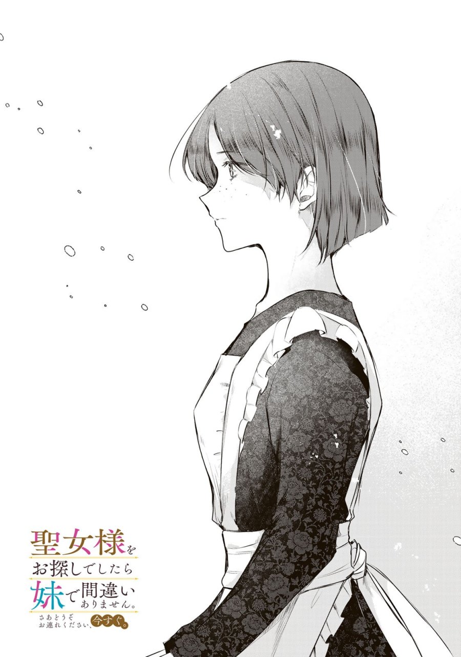 聖女様をお探しでしたら妹で間違いありません。さあどうぞお連れください、今すぐ。 第44.1話 - Page 1
