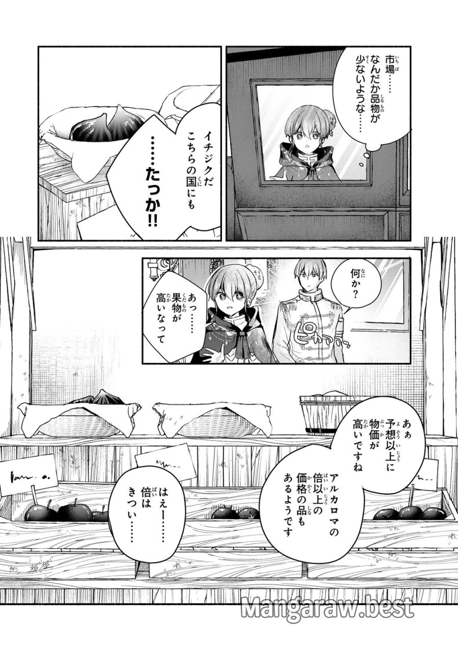 聖女様をお探しでしたら妹で間違いありません。さあどうぞお連れください、今すぐ。 第45.1話 - Page 4