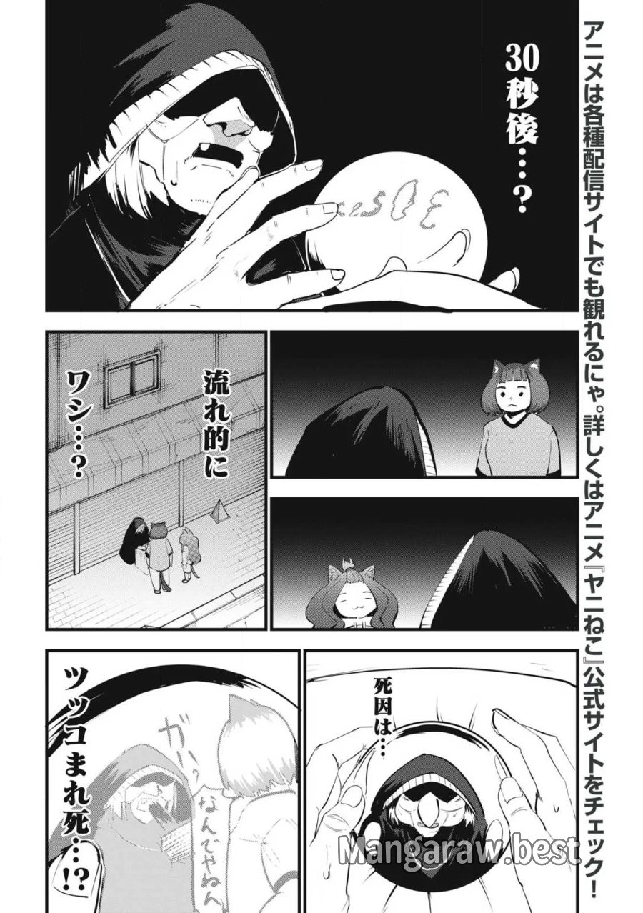ヤニねこ 第390話 - Trang 4