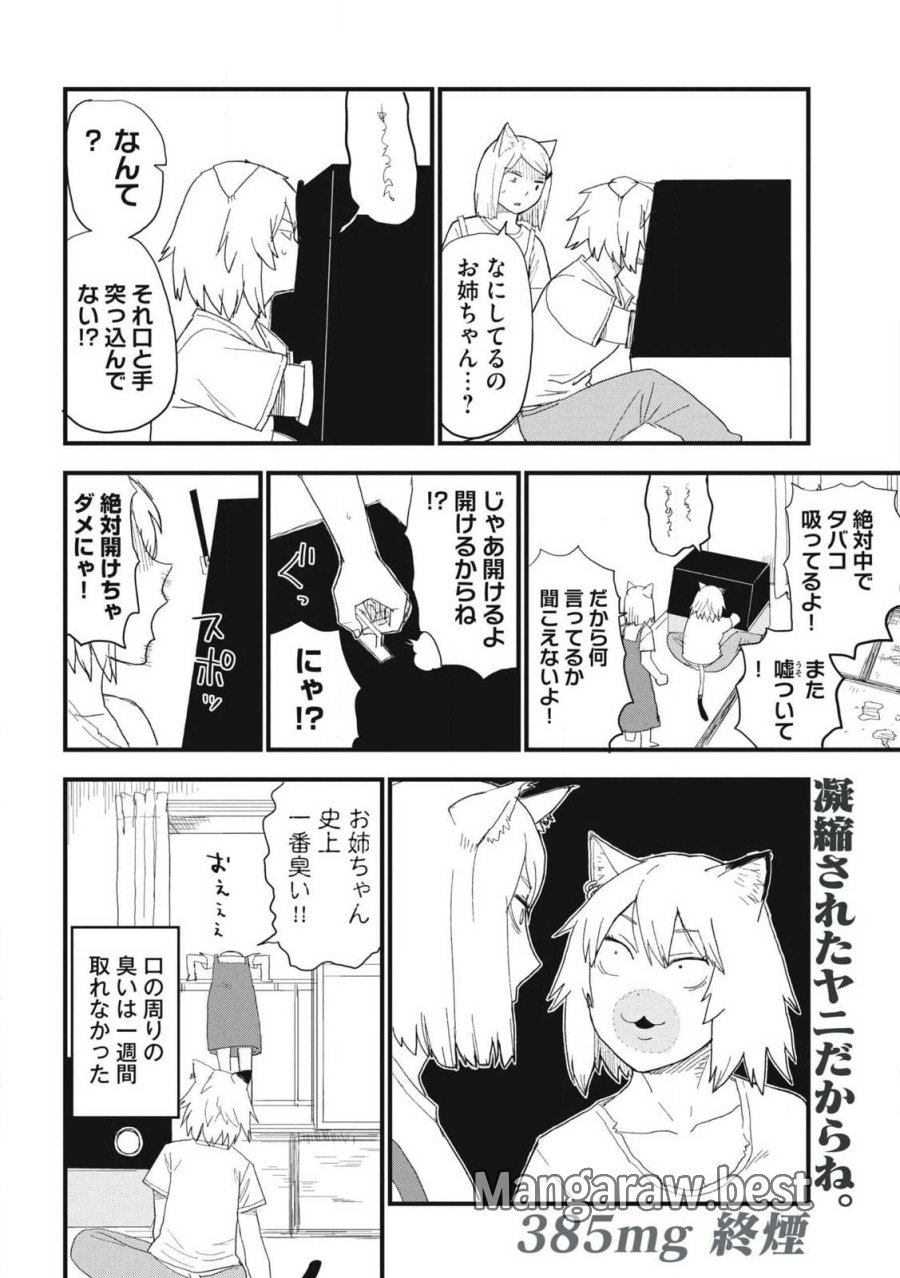 ヤニねこ 第385話 - Page 4