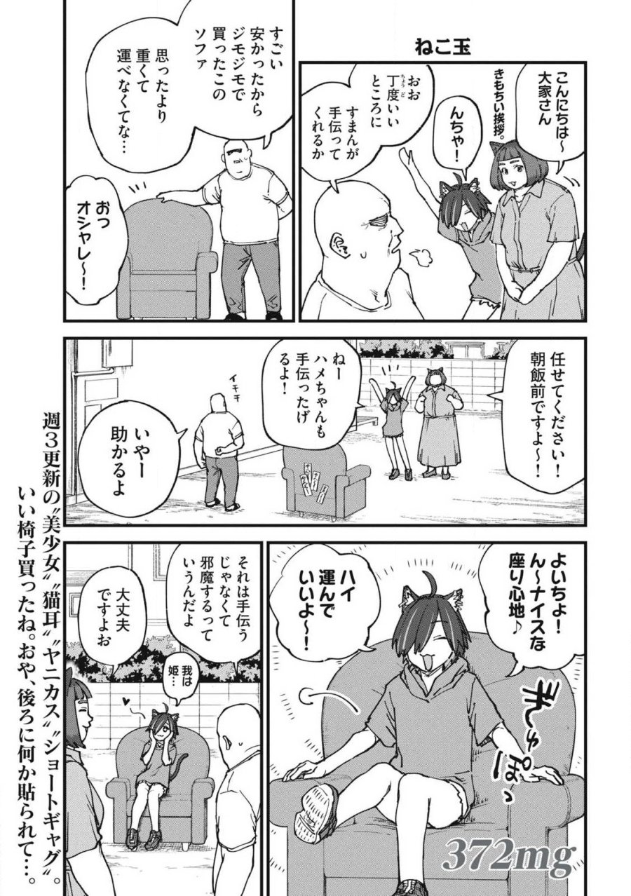 ヤニねこ 第372話 - Trang 1