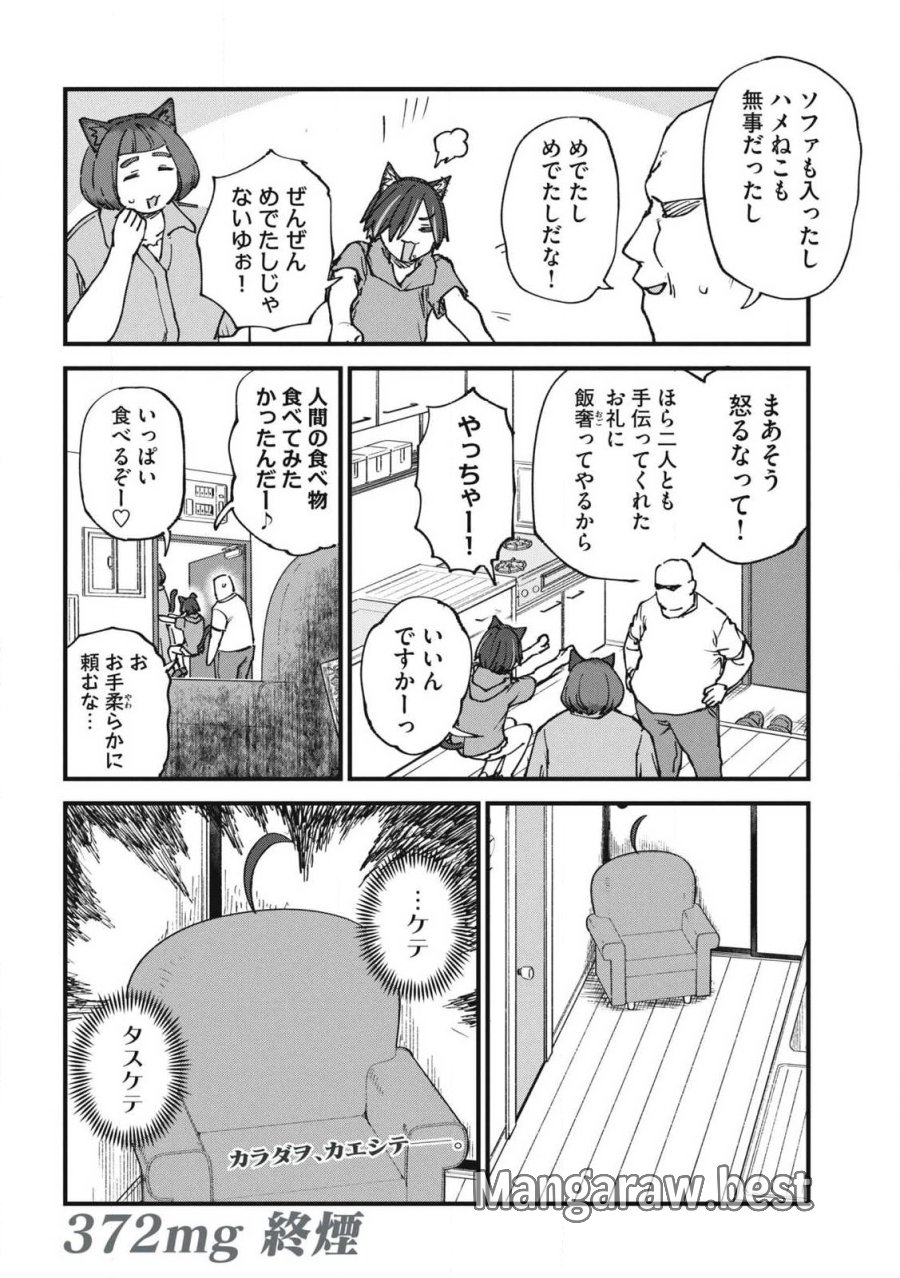 ヤニねこ 第372話 - Trang 4