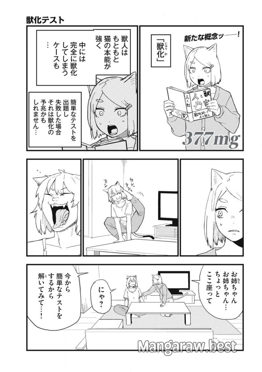 ヤニねこ 第377話 - Trang 1