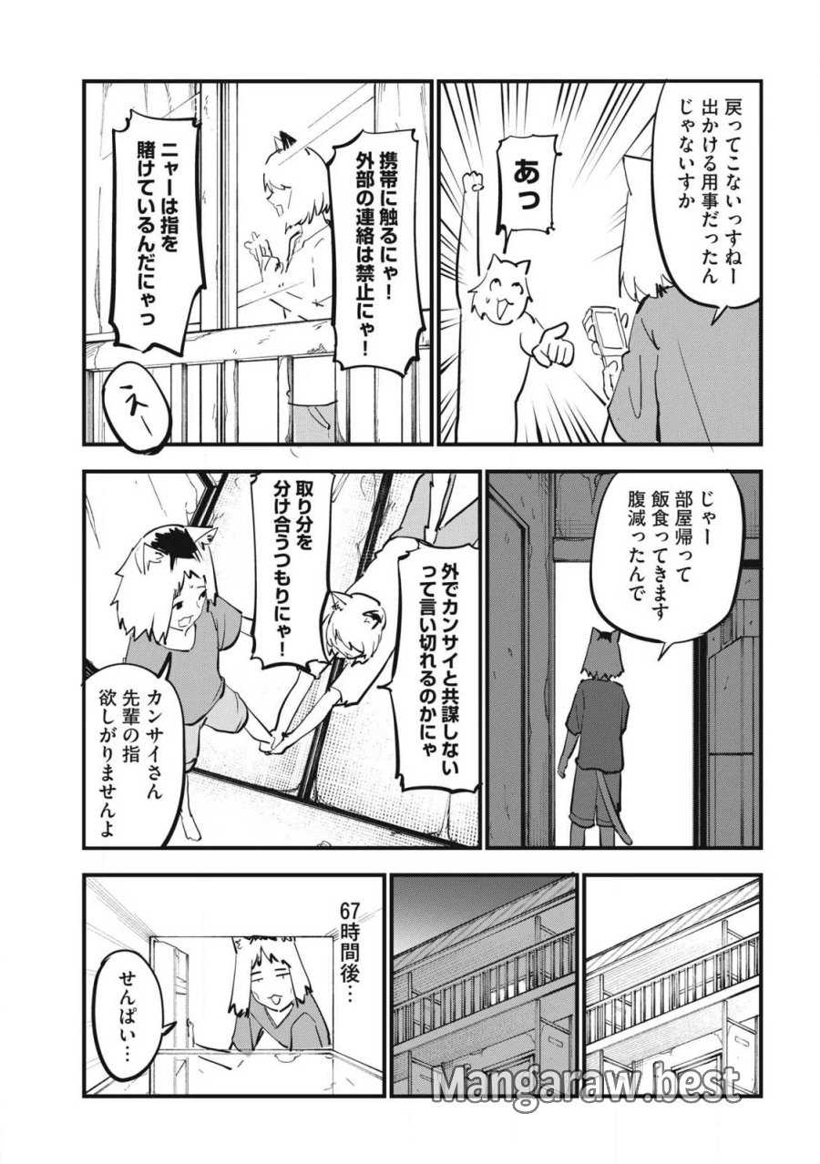 ヤニねこ 第388話 - Page 5