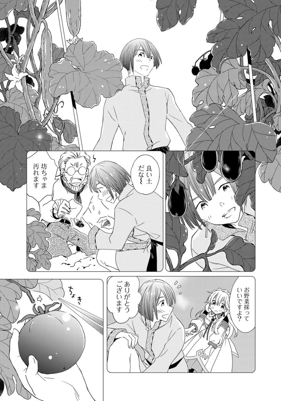チートで家庭菜園～多分私が精霊姫だけど、他に名乗り出た者がいるので、家庭菜園しちゃいます～ 第18話 - Page 5