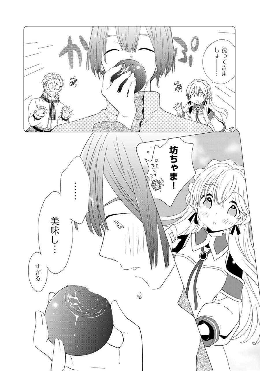 チートで家庭菜園～多分私が精霊姫だけど、他に名乗り出た者がいるので、家庭菜園しちゃいます～ 第18話 - Page 6