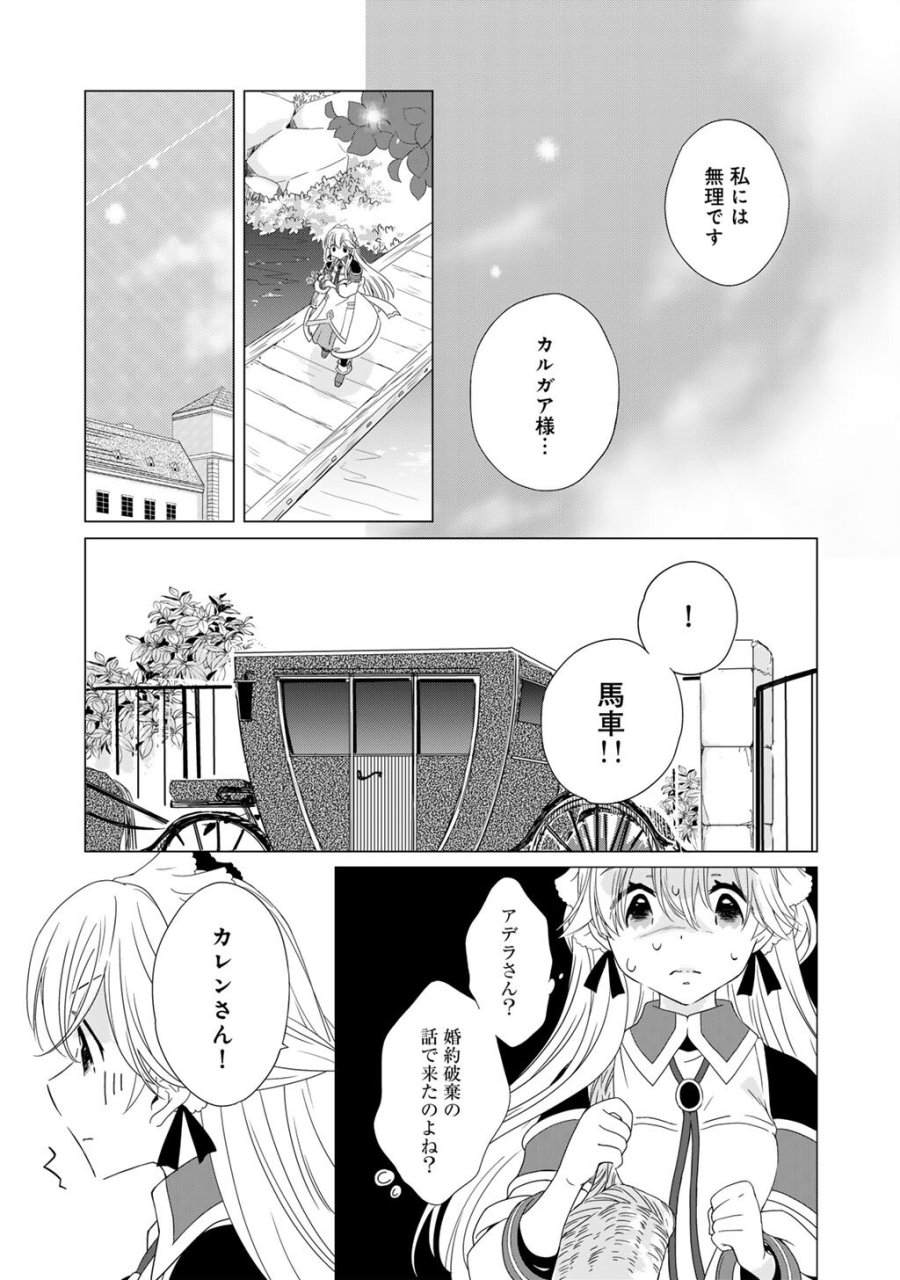 チートで家庭菜園～多分私が精霊姫だけど、他に名乗り出た者がいるので、家庭菜園しちゃいます～ 第17話 - Trang 15