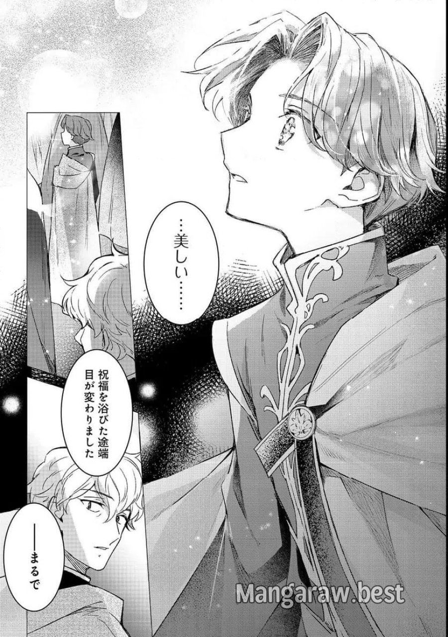 本好きの下剋上 フェルディナンドの館にて 第5話 - Page 15