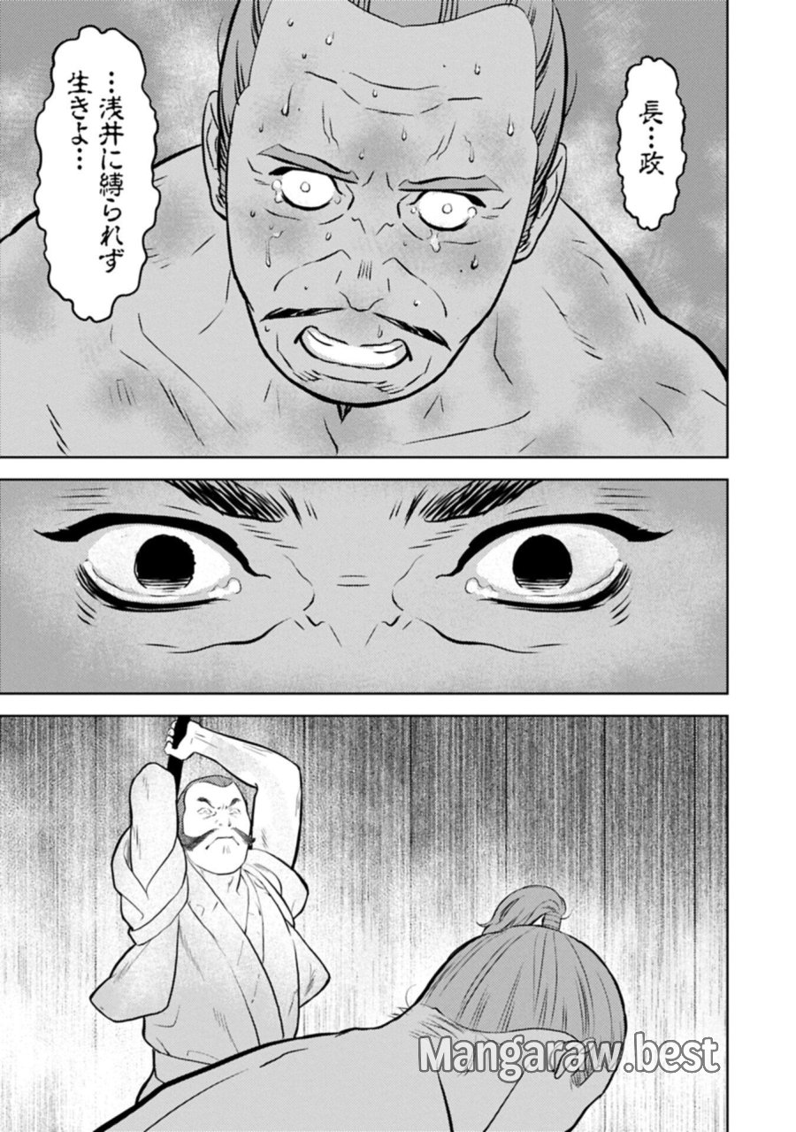 戦国小町苦労譚 第101.2話 - Trang 13