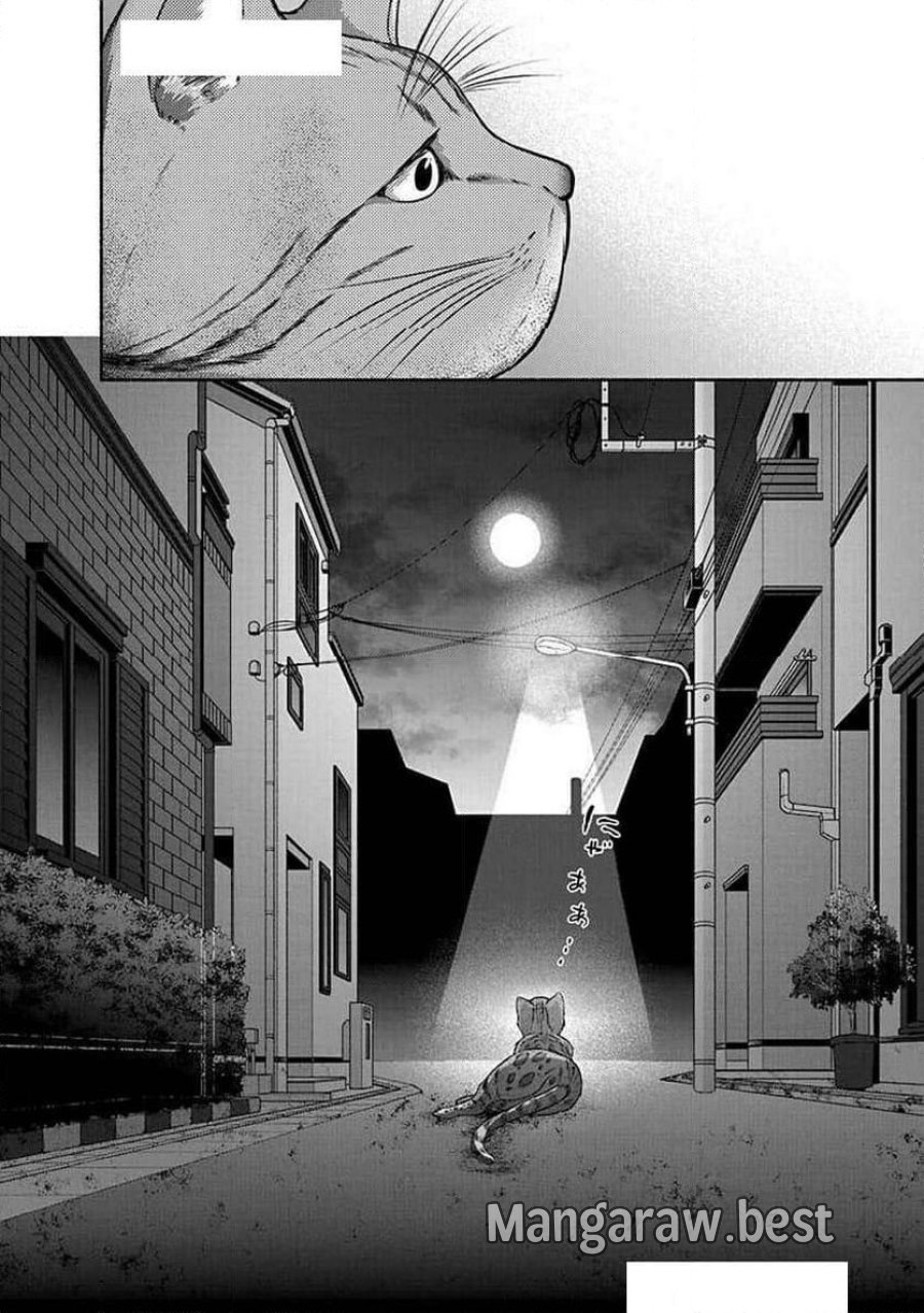 キッチンカー『デリ・ジョイ』―車窓から異世界へ美味いもの密輸販売中！ 第32話 - Trang 24