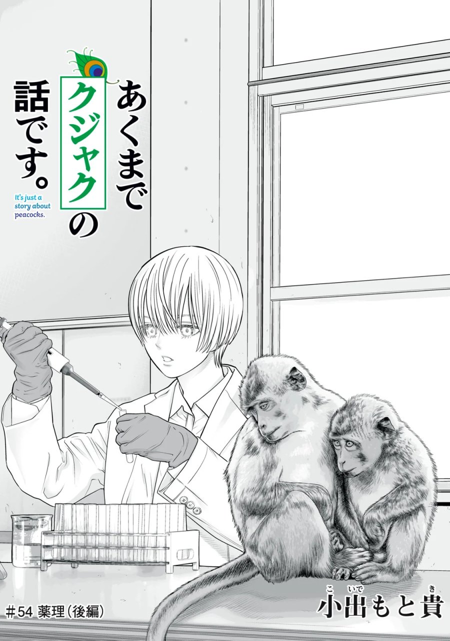 あくまでクジャクの話です。 第54話 - Page 1