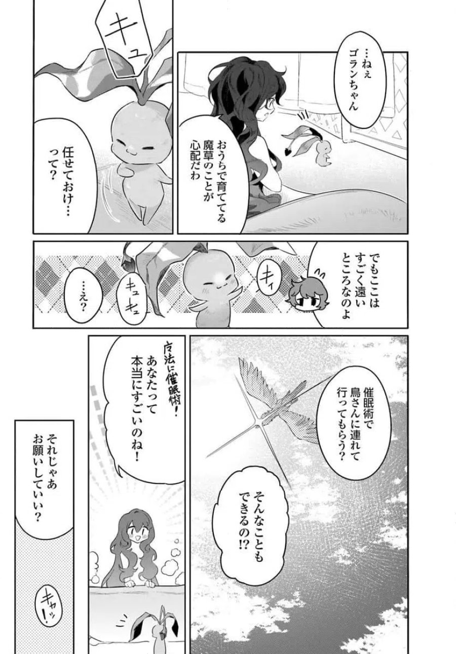 ひきこもり令嬢なのに、氷の辺境伯の花嫁(※期間限定)に選ばれてしまった 第3.4話 - Page 1