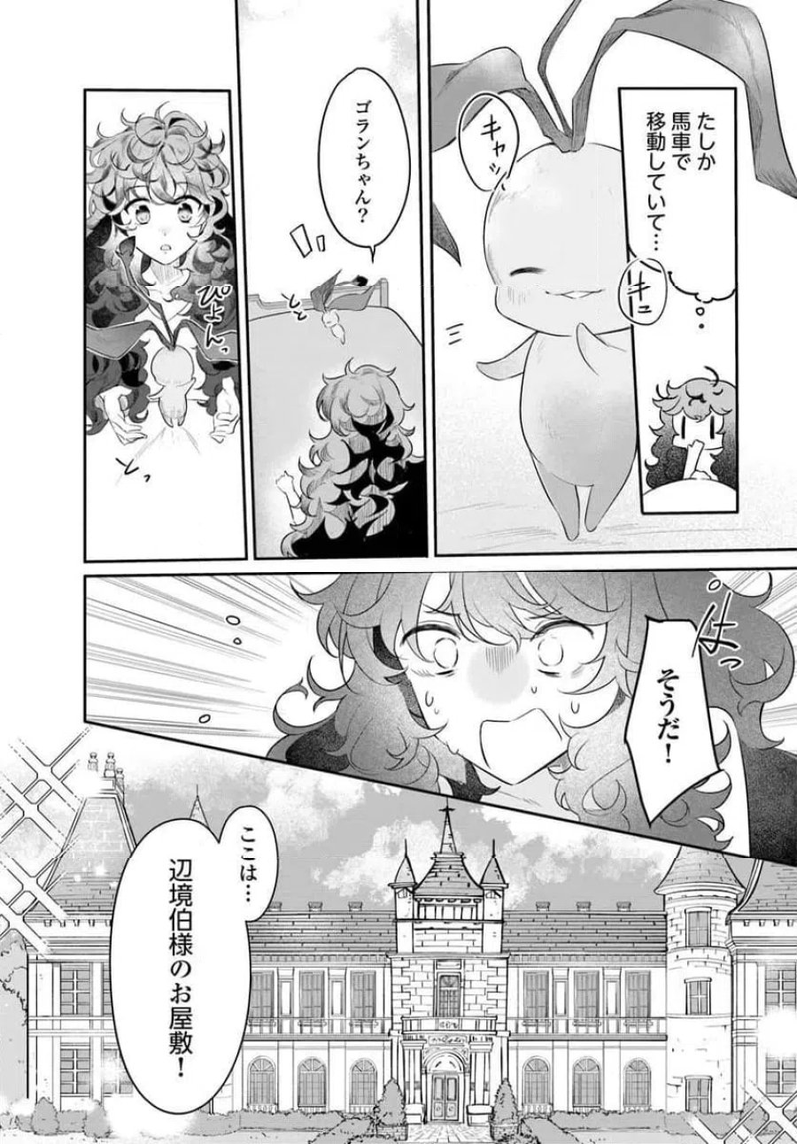 ひきこもり令嬢なのに、氷の辺境伯の花嫁(※期間限定)に選ばれてしまった 第2.3話 - Page 8