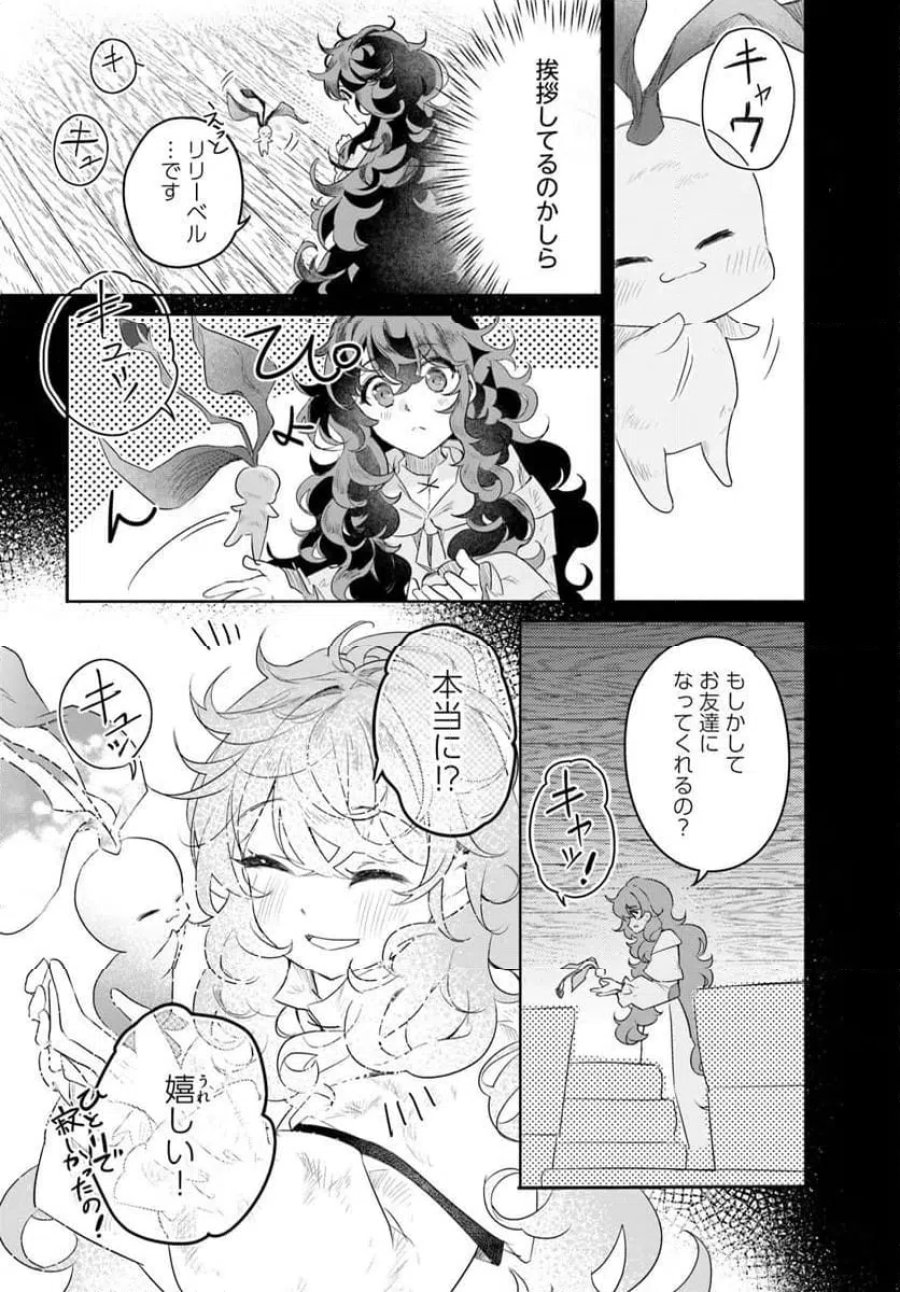 ひきこもり令嬢なのに、氷の辺境伯の花嫁(※期間限定)に選ばれてしまった 第3.3話 - Page 5