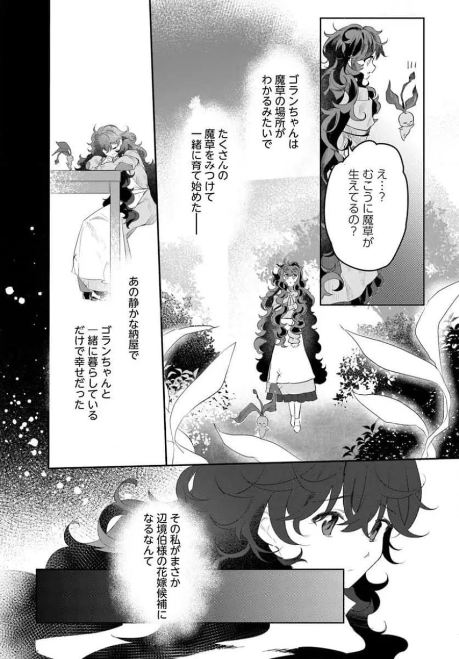 ひきこもり令嬢なのに、氷の辺境伯の花嫁(※期間限定)に選ばれてしまった 第3.3話 - Page 6