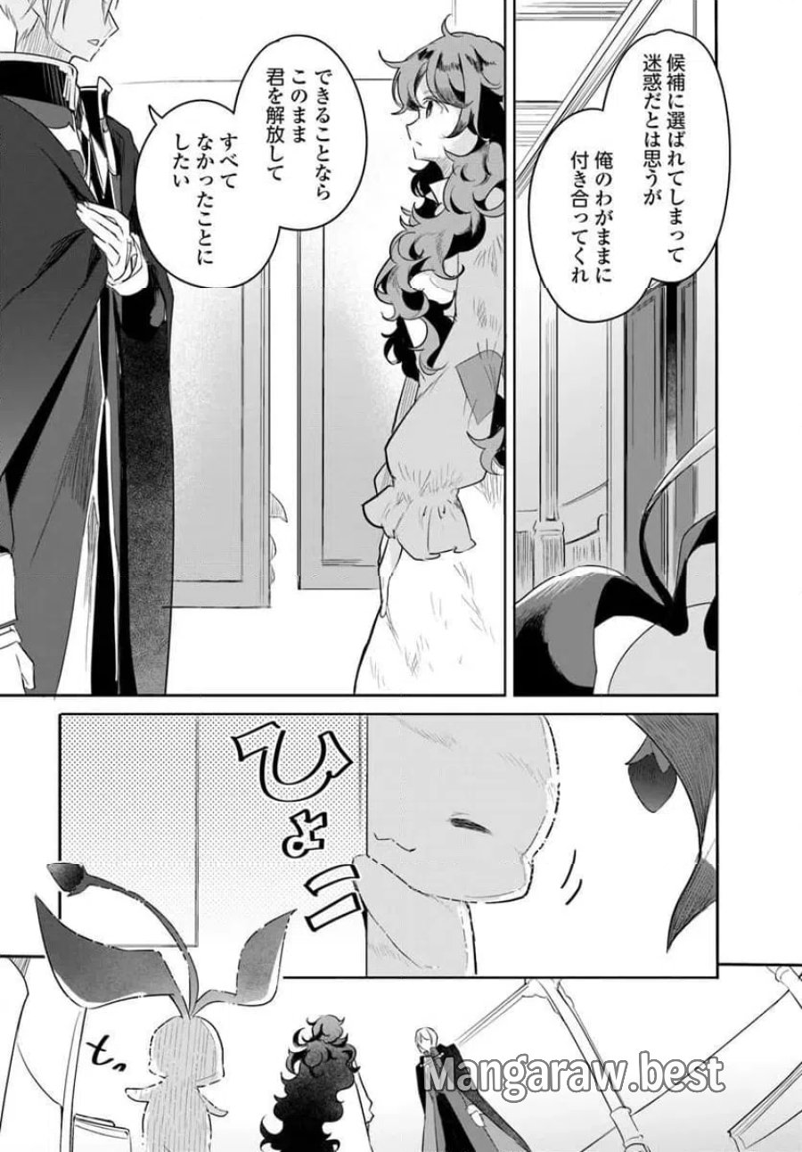 ひきこもり令嬢なのに、氷の辺境伯の花嫁(※期間限定)に選ばれてしまった 第2.1話 - Page 11