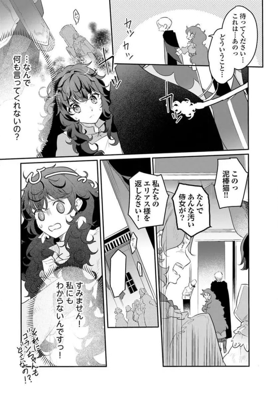 ひきこもり令嬢なのに、氷の辺境伯の花嫁(※期間限定)に選ばれてしまった 第2.1話 - Page 3