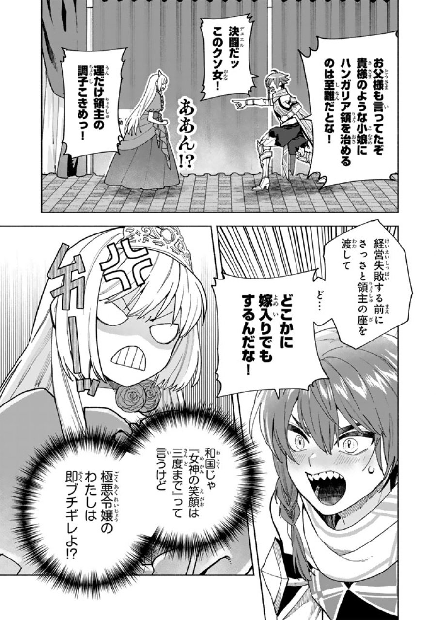 極悪令嬢の勘違い救国記 第17.1話 - Page 12