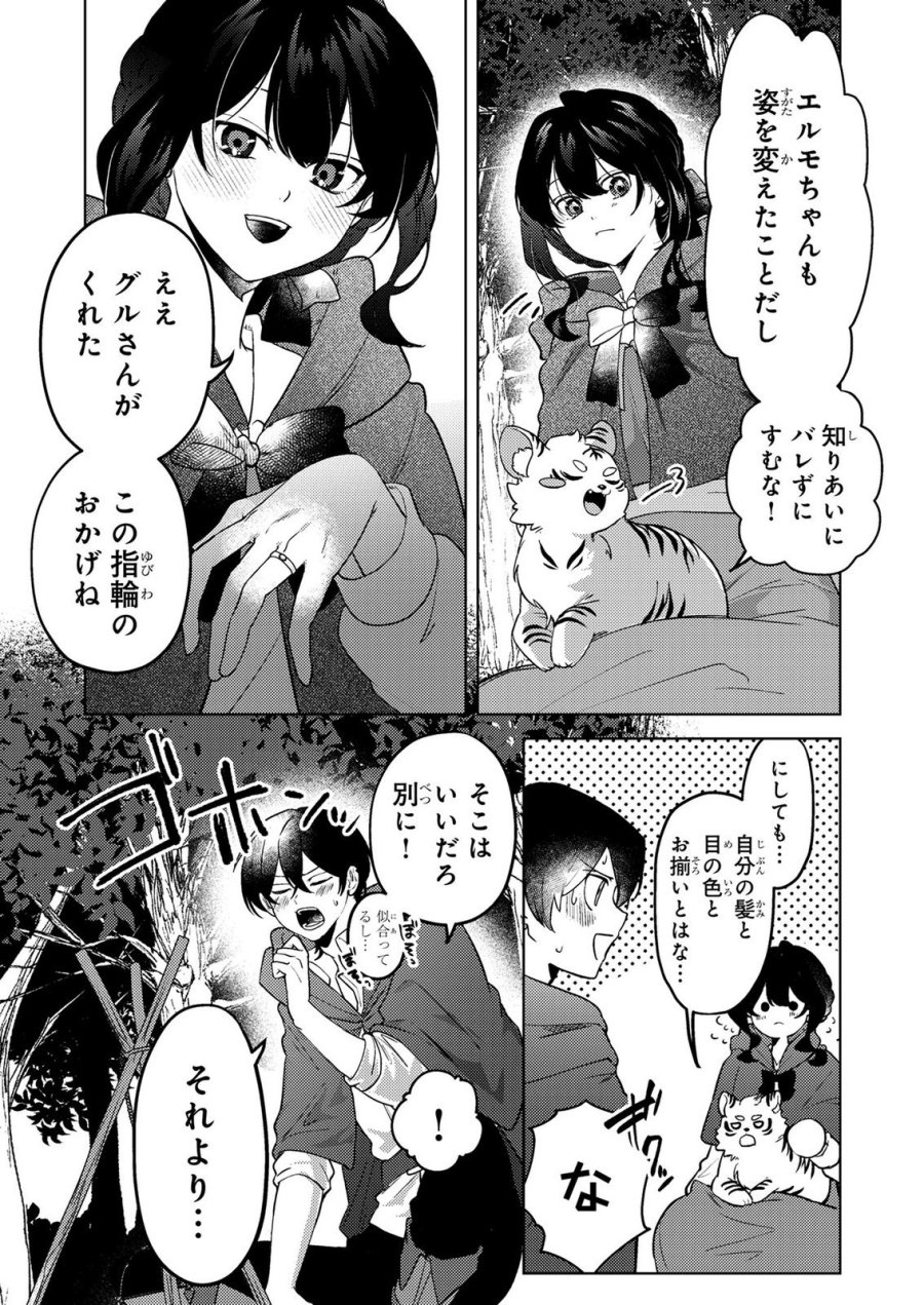婚約破棄したお馬鹿な王子はほっといて、悪役令嬢は精霊の森で幸せになります。 第24話 - Trang 5