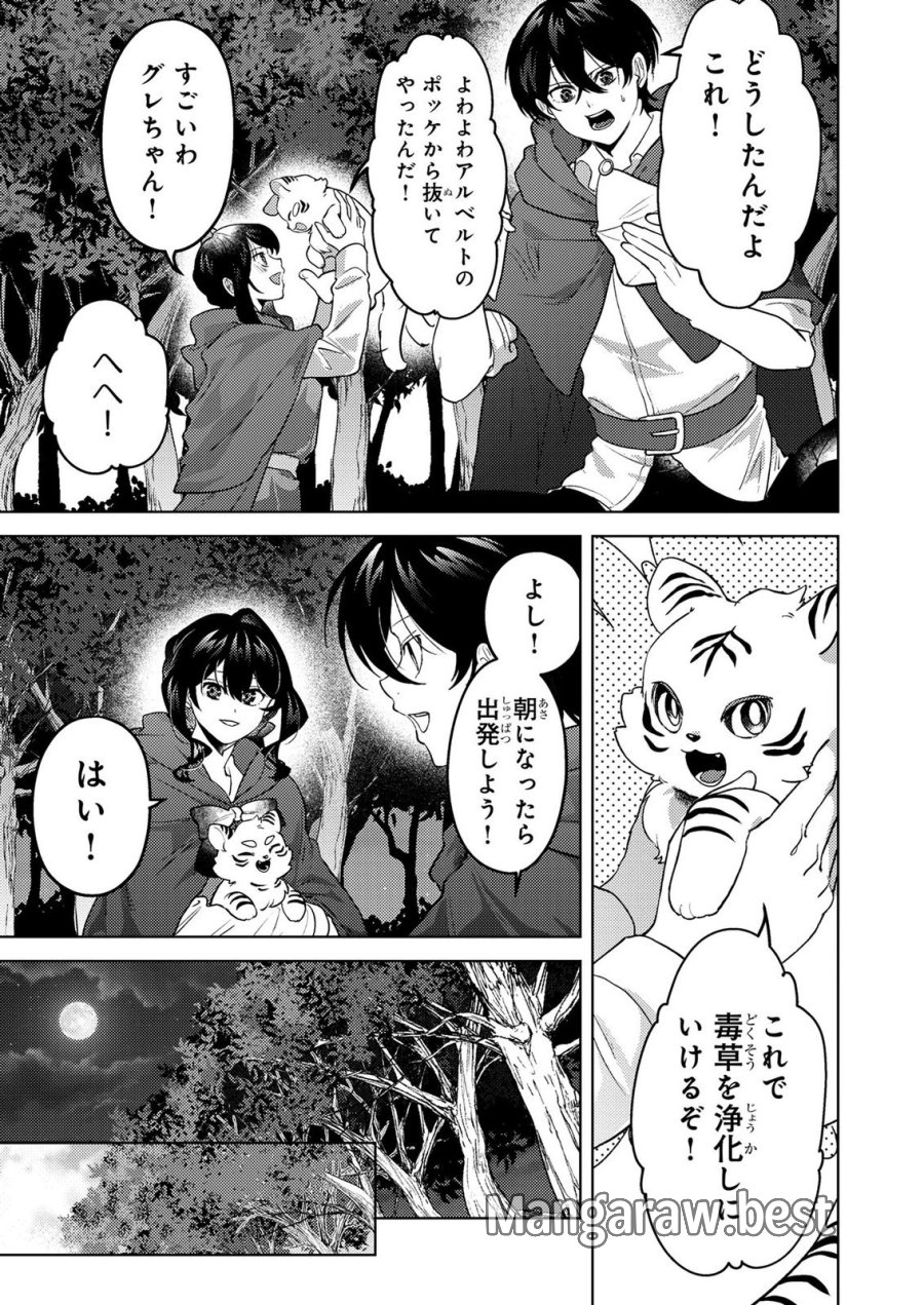 婚約破棄したお馬鹿な王子はほっといて、悪役令嬢は精霊の森で幸せになります。 第24話 - Trang 7