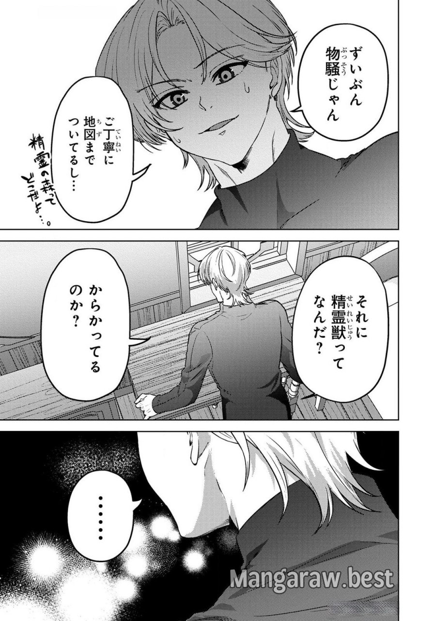婚約破棄したお馬鹿な王子はほっといて、悪役令嬢は精霊の森で幸せになります。 第19話 - Trang 19