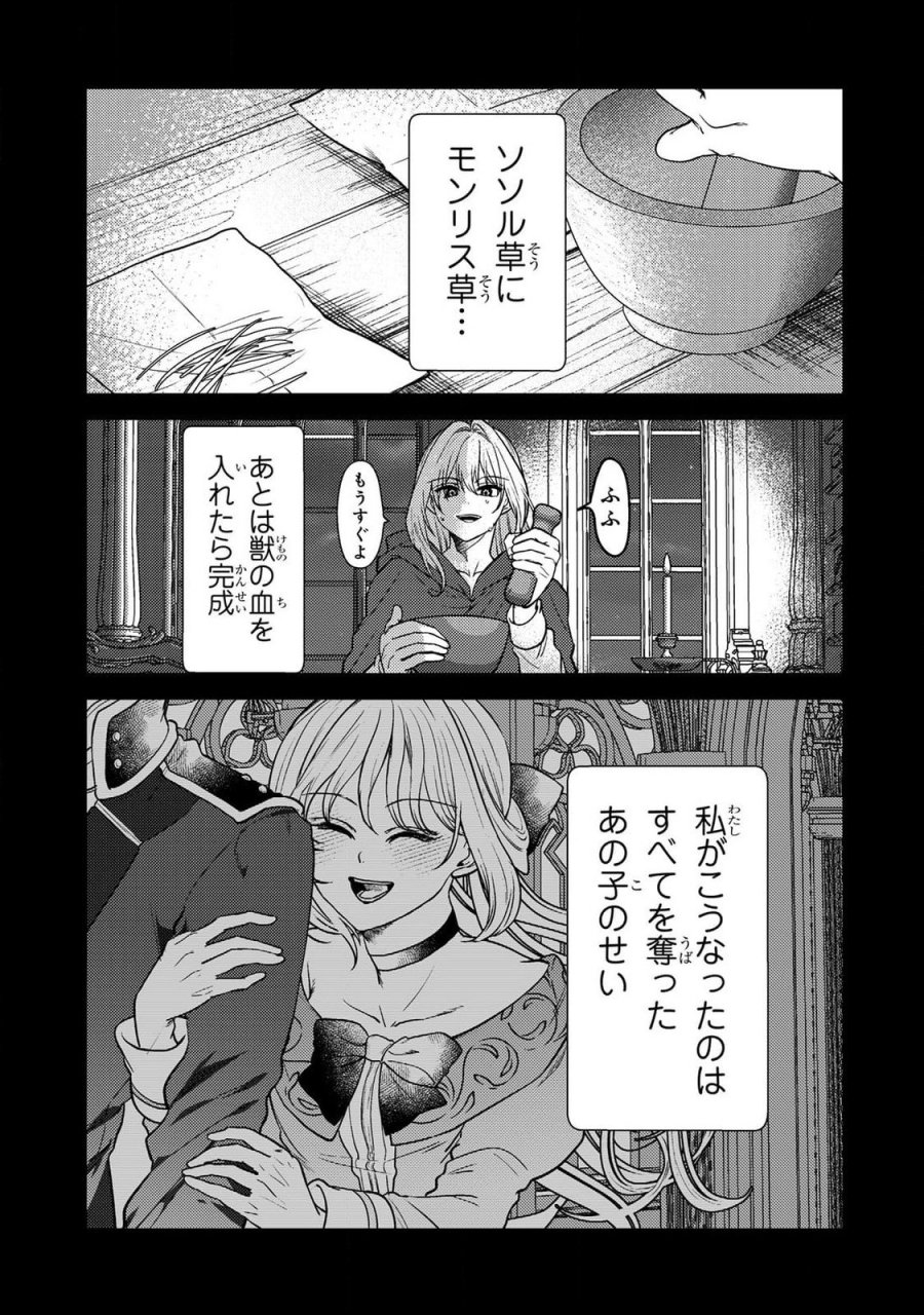 婚約破棄したお馬鹿な王子はほっといて、悪役令嬢は精霊の森で幸せになります。 第19話 - Trang 3