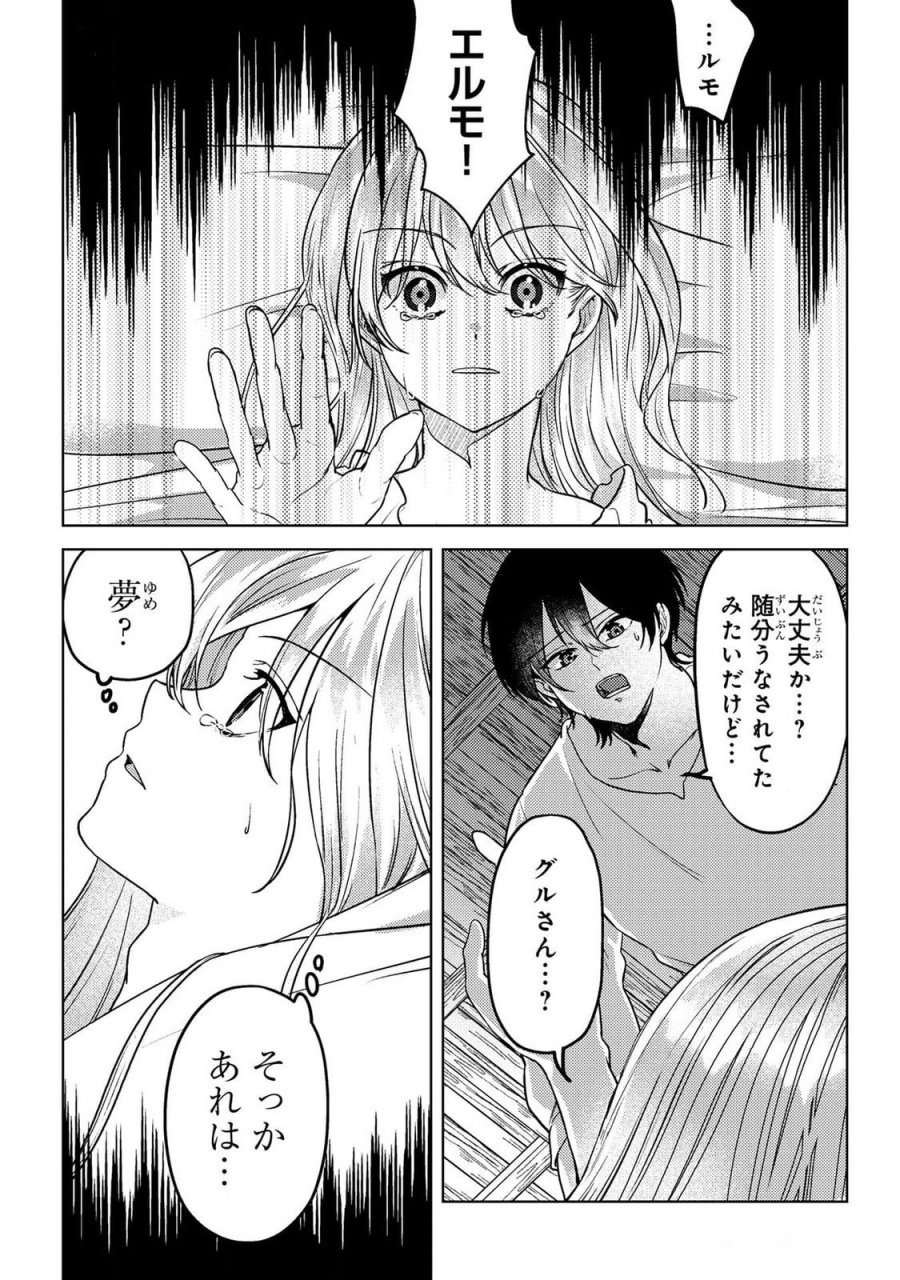 婚約破棄したお馬鹿な王子はほっといて、悪役令嬢は精霊の森で幸せになります。 第19話 - Trang 5