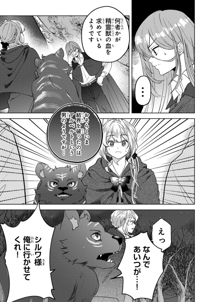 婚約破棄したお馬鹿な王子はほっといて、悪役令嬢は精霊の森で幸せになります。 第21話 - Trang 13