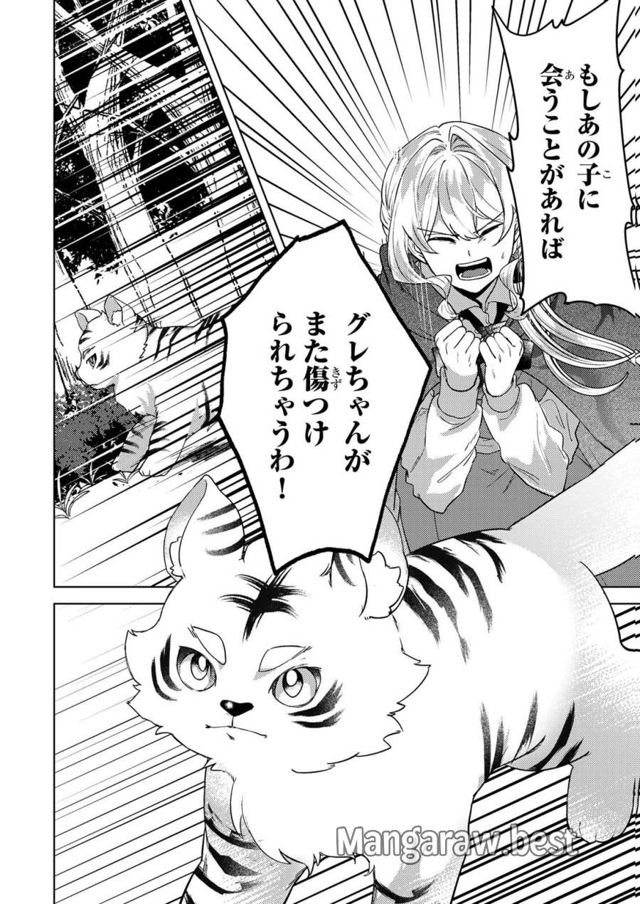 婚約破棄したお馬鹿な王子はほっといて、悪役令嬢は精霊の森で幸せになります。 第21話 - Trang 20