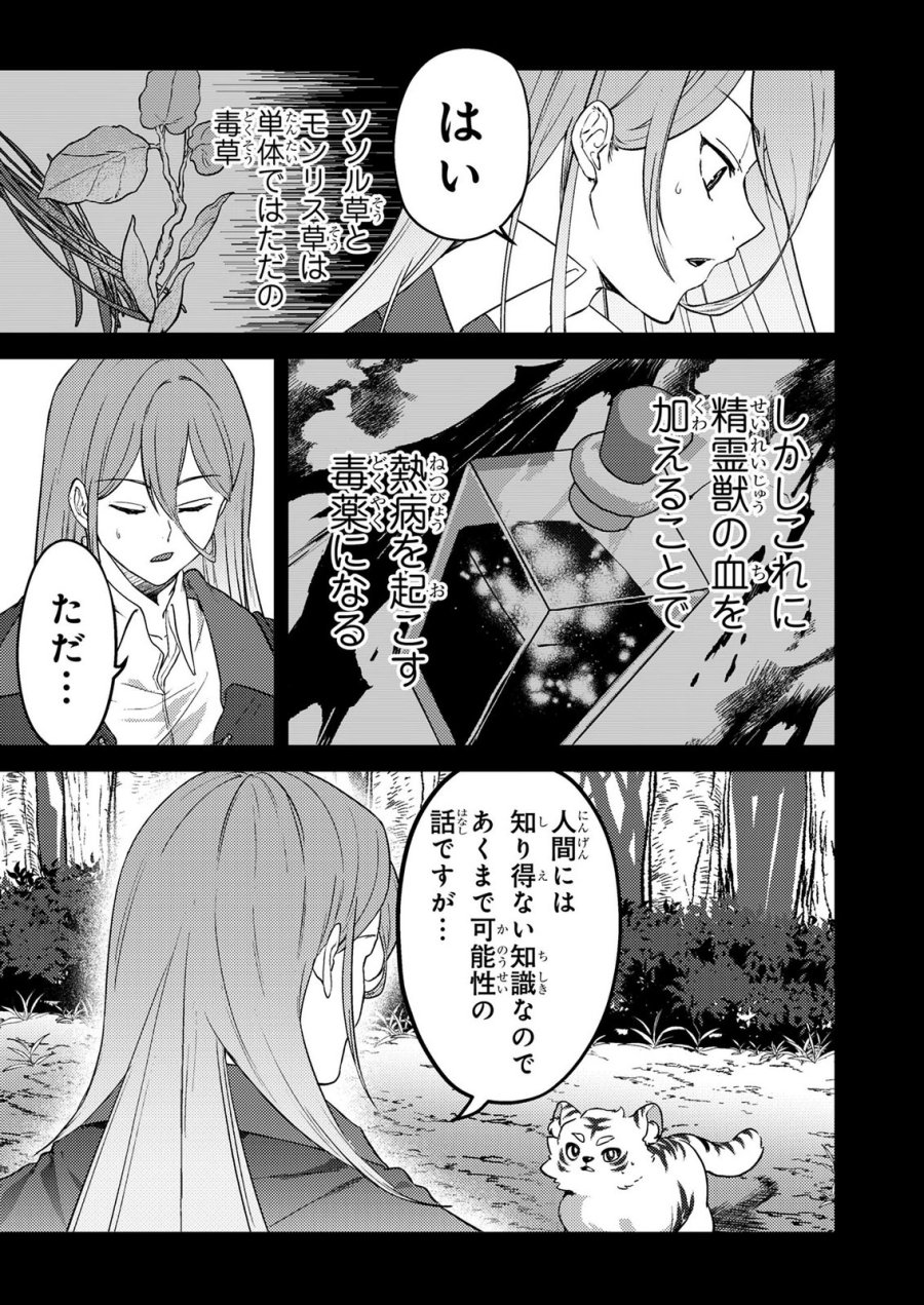 婚約破棄したお馬鹿な王子はほっといて、悪役令嬢は精霊の森で幸せになります。 第21話 - Trang 3
