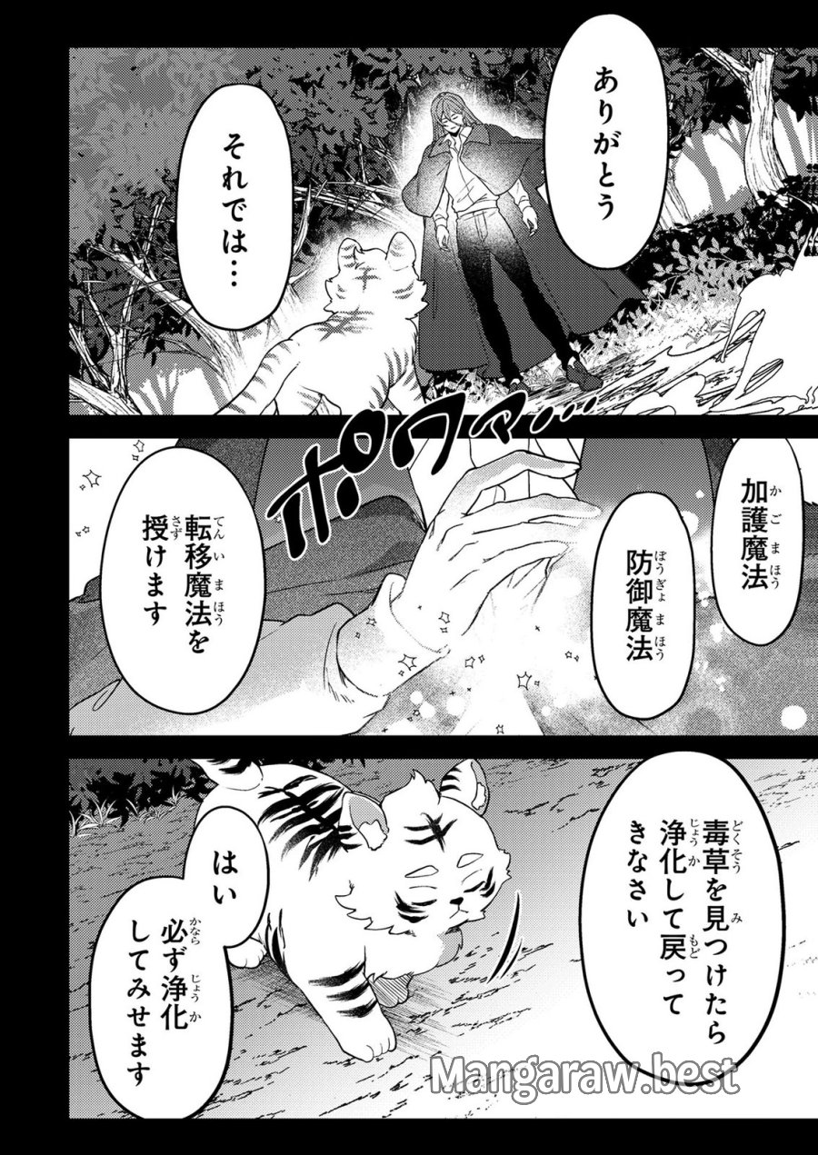 婚約破棄したお馬鹿な王子はほっといて、悪役令嬢は精霊の森で幸せになります。 第21話 - Trang 6