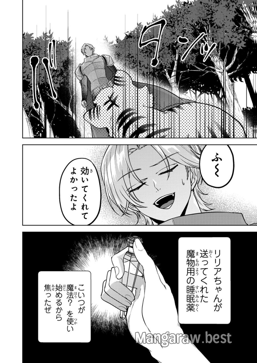 婚約破棄したお馬鹿な王子はほっといて、悪役令嬢は精霊の森で幸せになります。 第22話 - Trang 10
