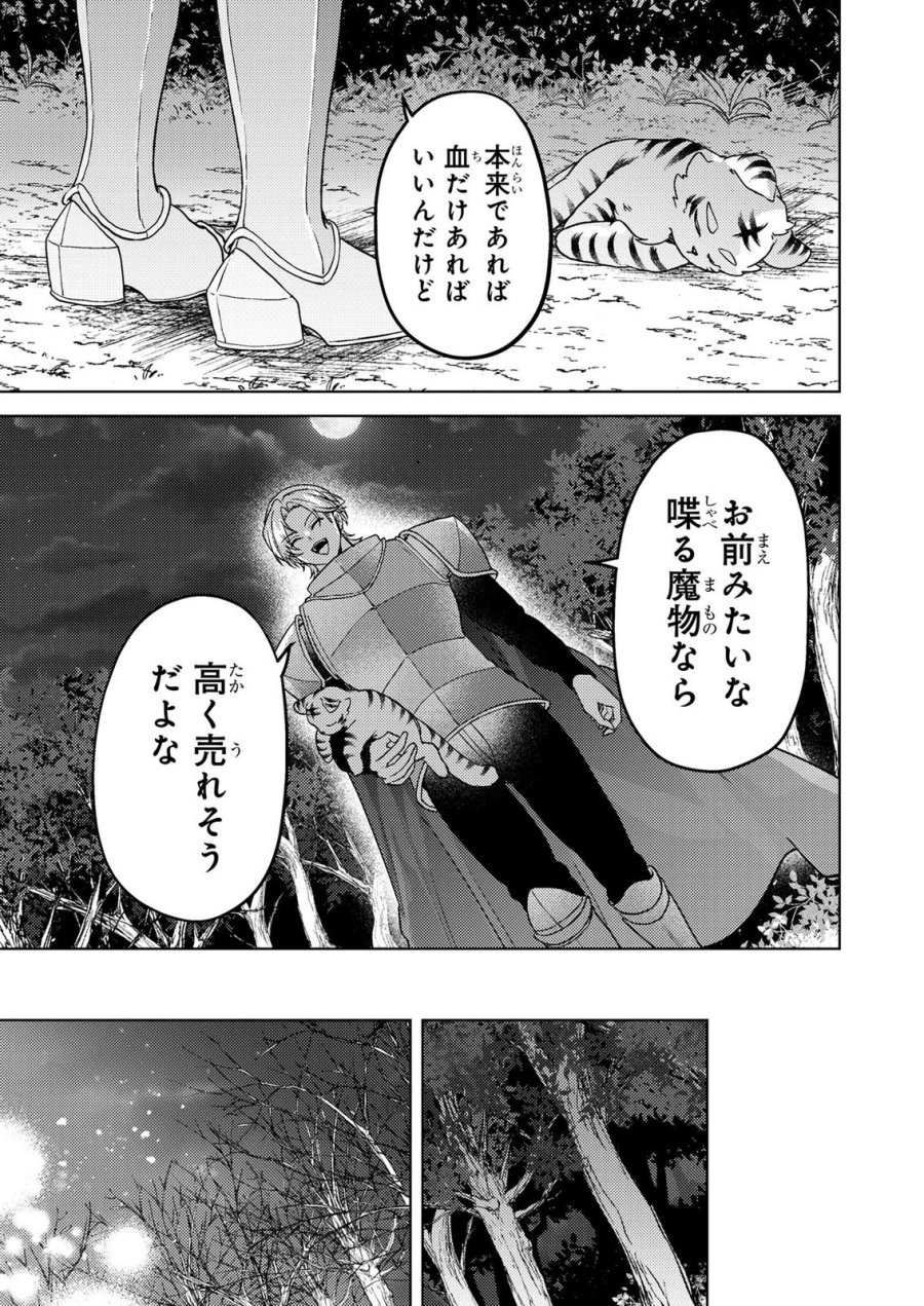 婚約破棄したお馬鹿な王子はほっといて、悪役令嬢は精霊の森で幸せになります。 第22話 - Trang 11
