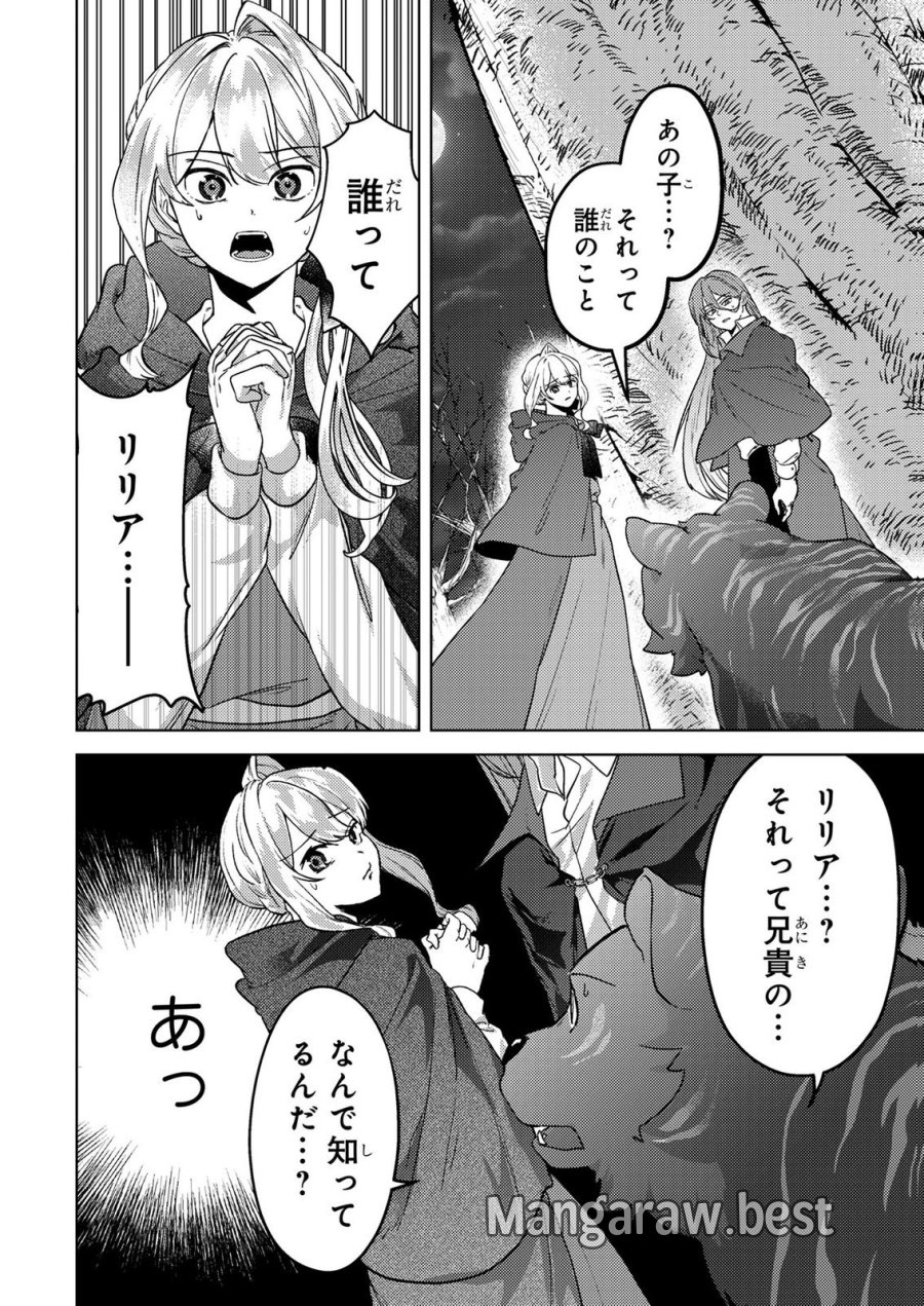婚約破棄したお馬鹿な王子はほっといて、悪役令嬢は精霊の森で幸せになります。 第22話 - Trang 12
