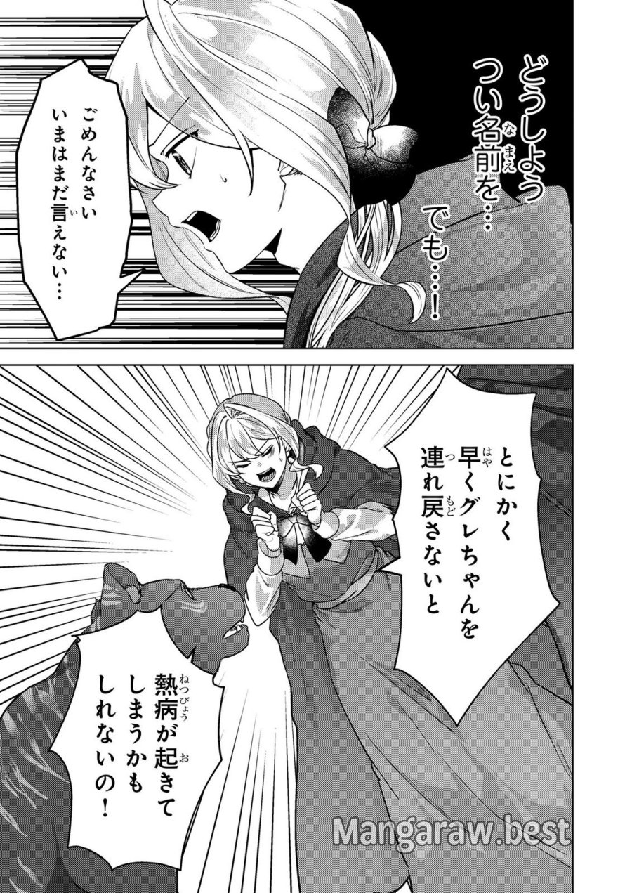 婚約破棄したお馬鹿な王子はほっといて、悪役令嬢は精霊の森で幸せになります。 第22話 - Trang 13
